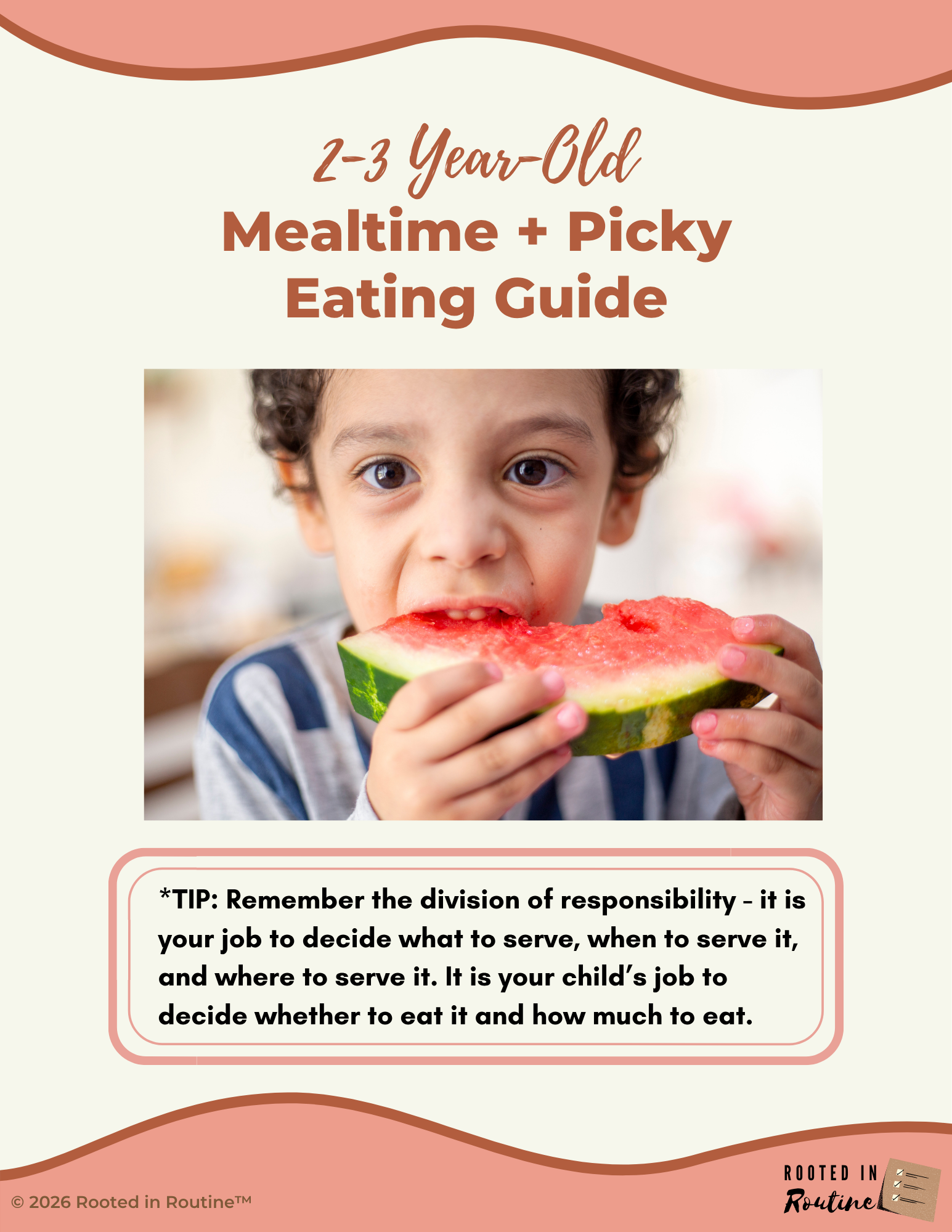 BITE SIZE 2-3 Years Picky Eating.png