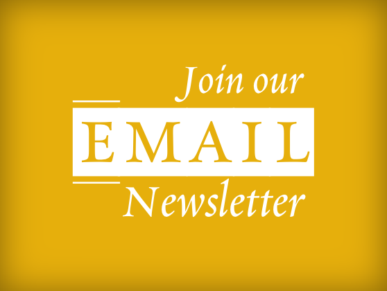 Email Newsletter - Quicklink.png