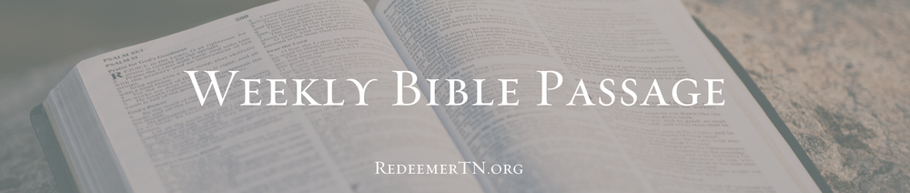 Weekly Bible Passage | December 12-18 — Redeemer Church