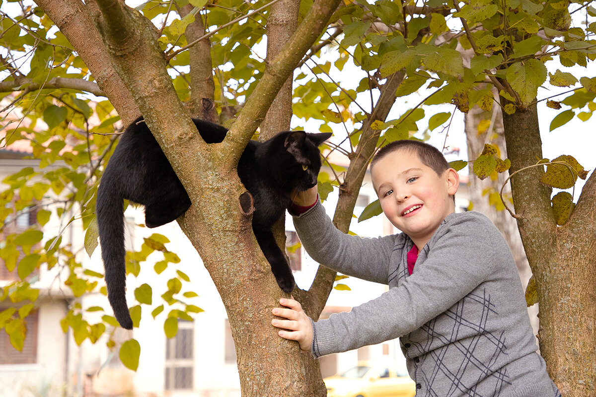 bimbo con gatto sull'albero.jpg