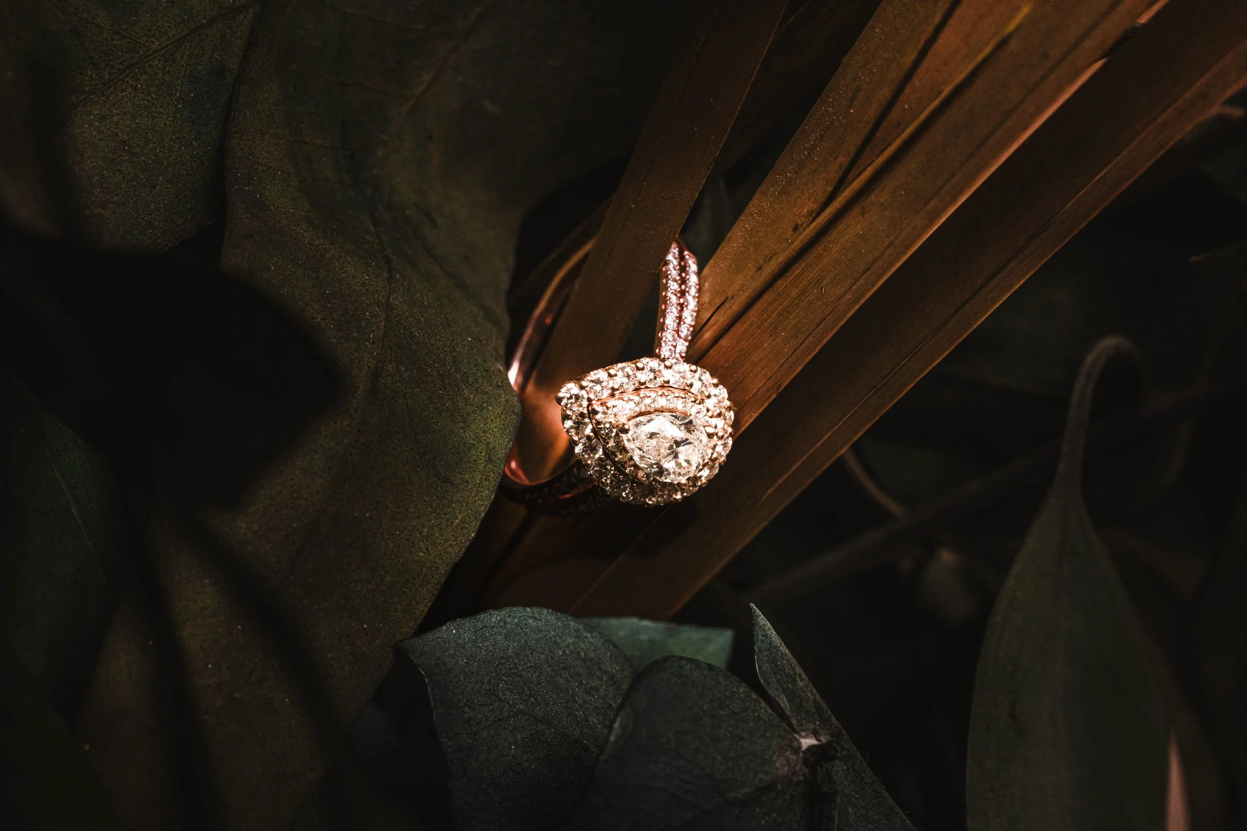 Close-up of a diamond engagement ring hanging on a wooden surface, surrounded by dark green leaves. Engagement photography by Digital Imageries Photography located in South Jersey.