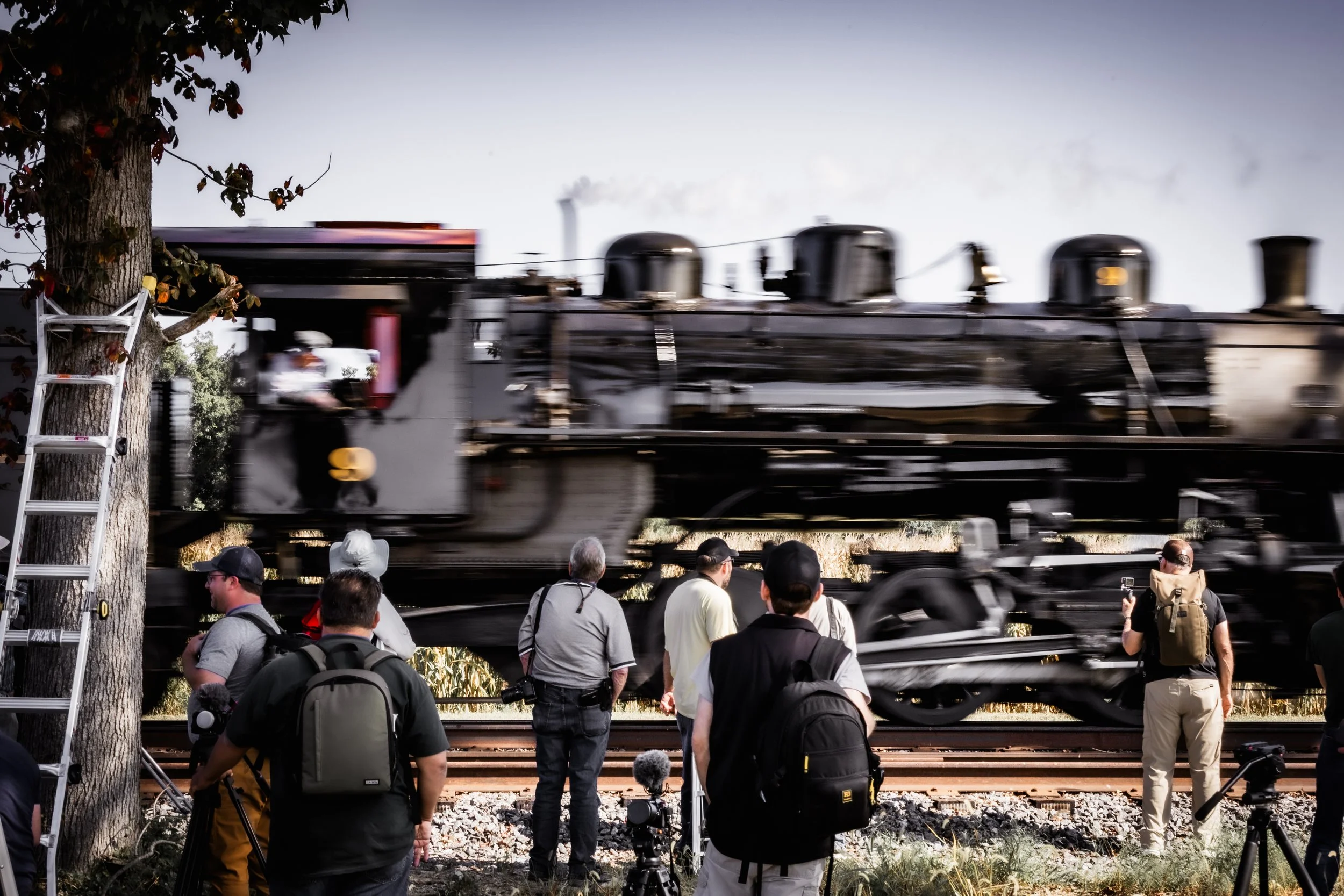 A group of people watching and photographing a moving steam train passing on a railway track, with a large tree and ladder beside the scene.