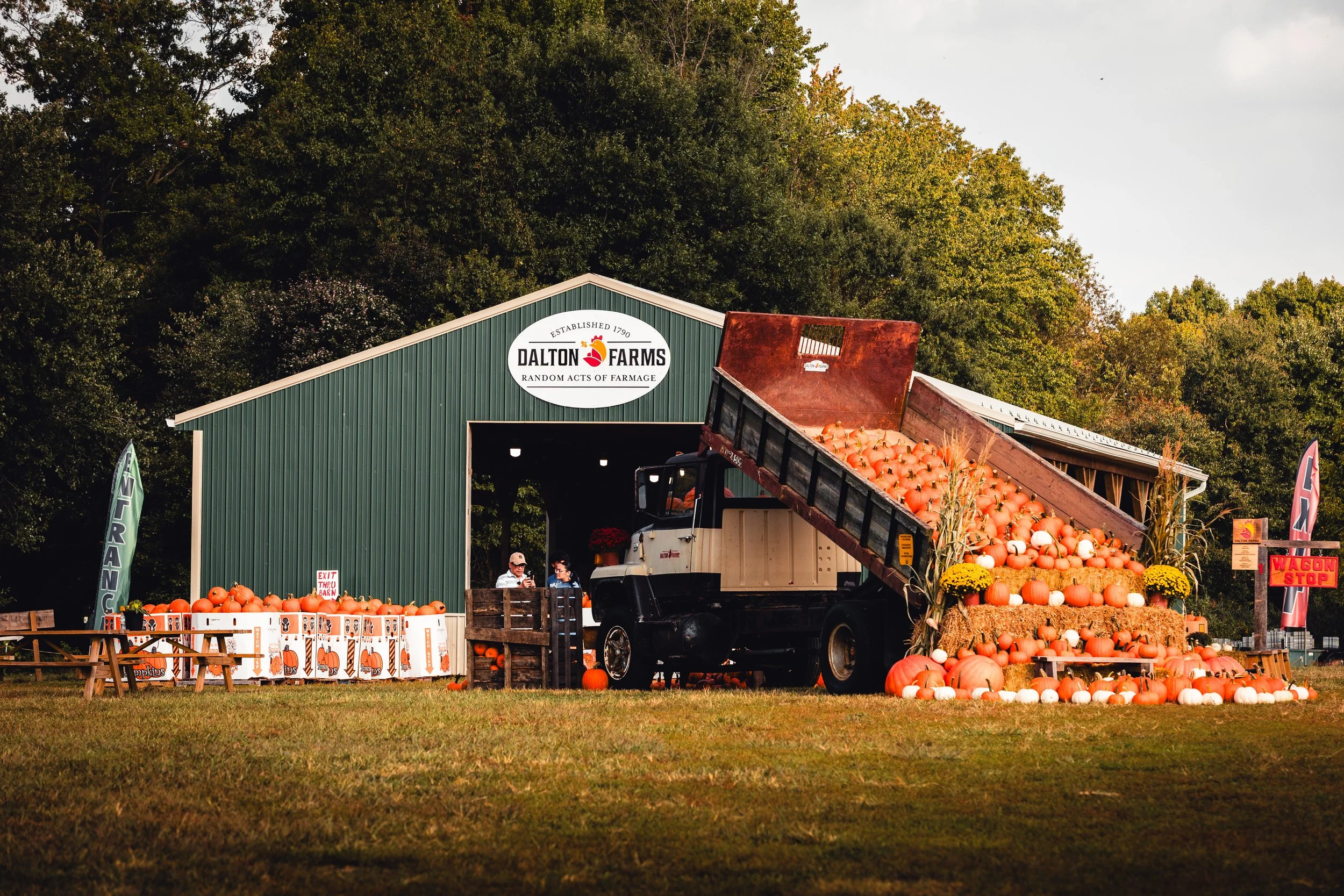 Exploring the rustic farm market and pumpkin patch layout during autumn festivities in Swedesboro, NJ.
