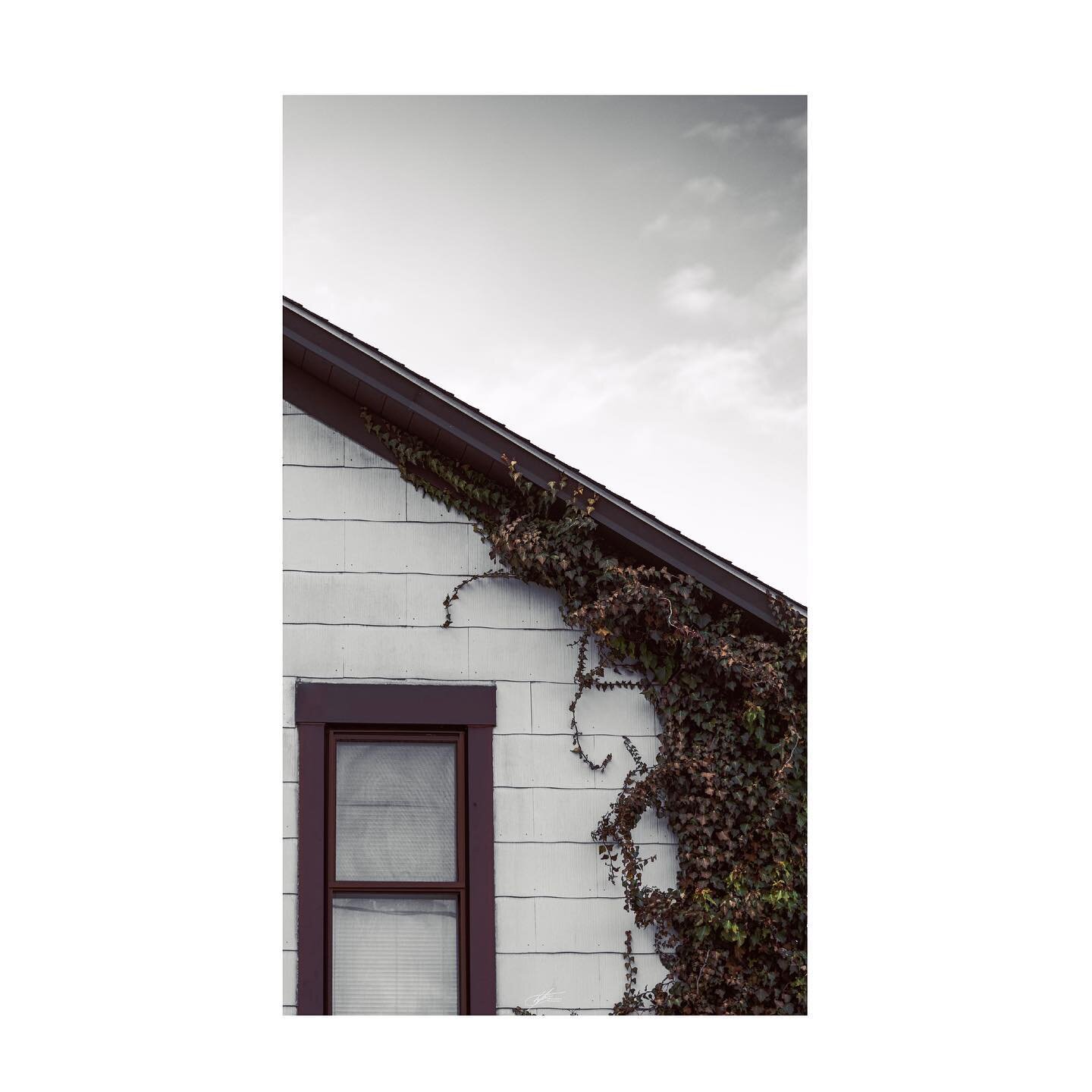 House and Ivy
.
.
.
#photography #canon #eosr #fineartphotography #fineart #abstract #house #ivy #vines #sky #color #lines