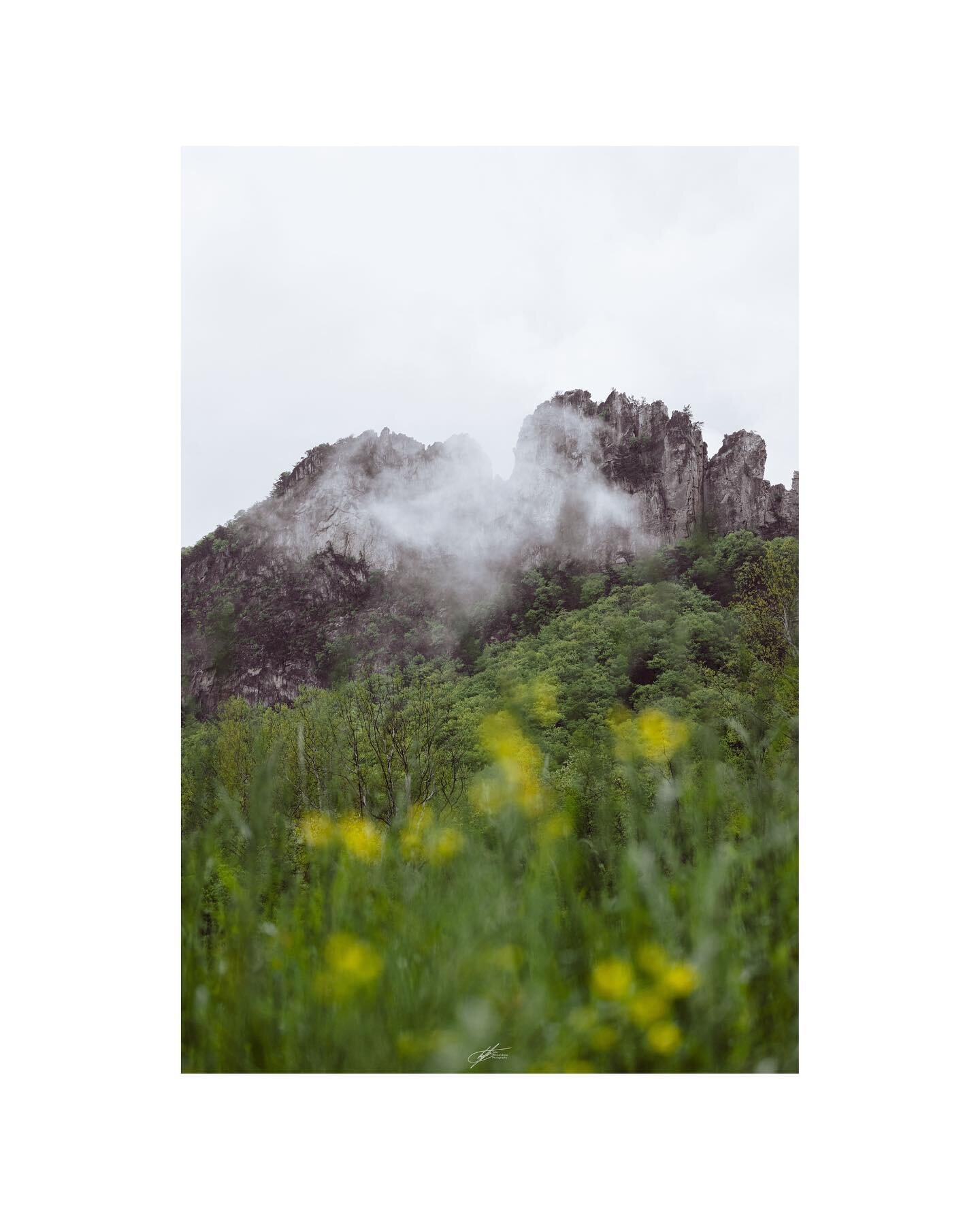 Some scenes from the mountains
.
.
.
#photography #canon #eosr #almostheaven #westvirginia #hiking #roadtrip #summer #flowers #mountains #fog #clouds #mood #forest #house #wv