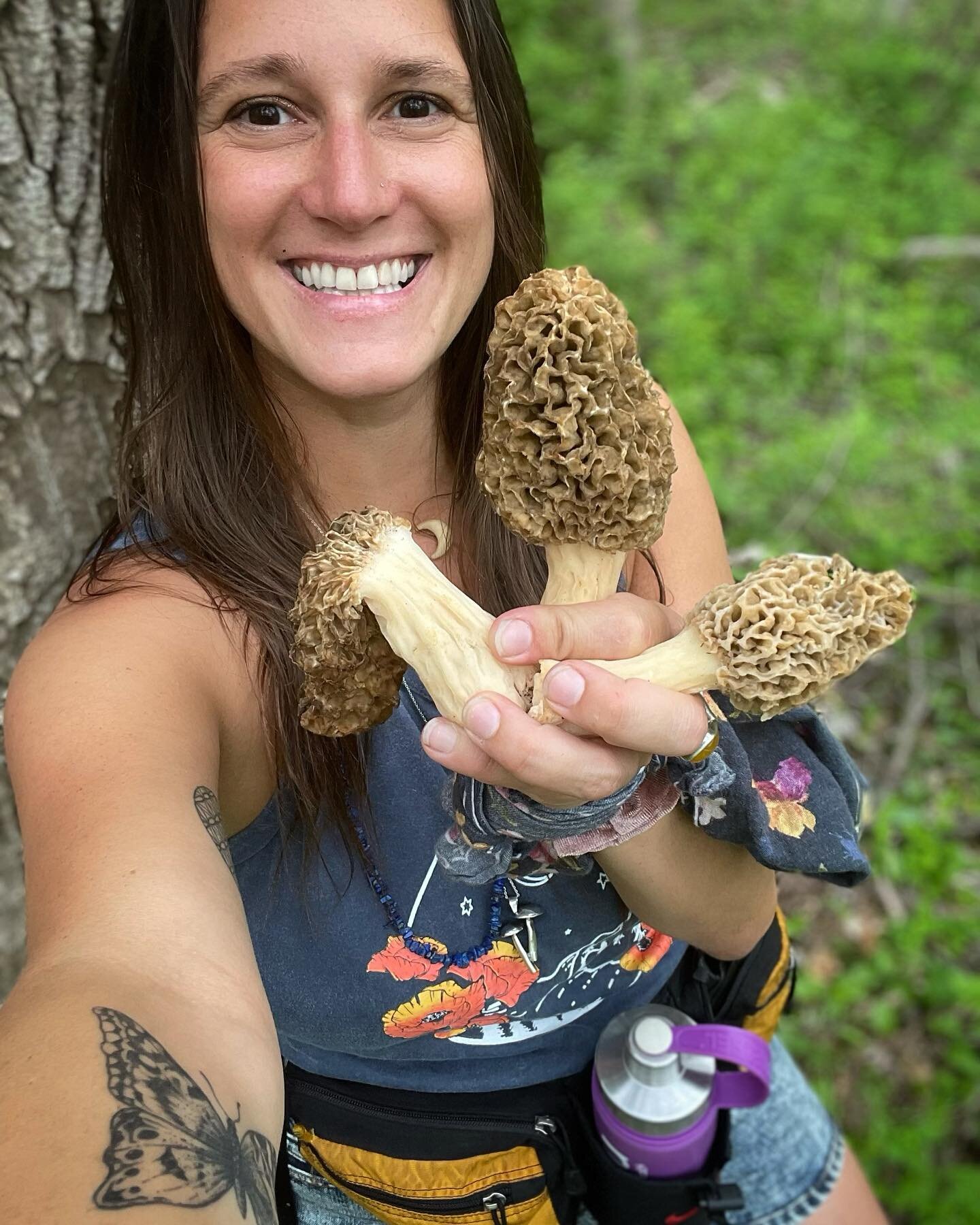 Morel spam for your feed. 

Stoked to cover morchella in our FUNGI WISDOM apprenticeship this week 🥰 
 
 
 
 
 
 #morelmushrooms #morels #morchella #mycologysociety #getoutside