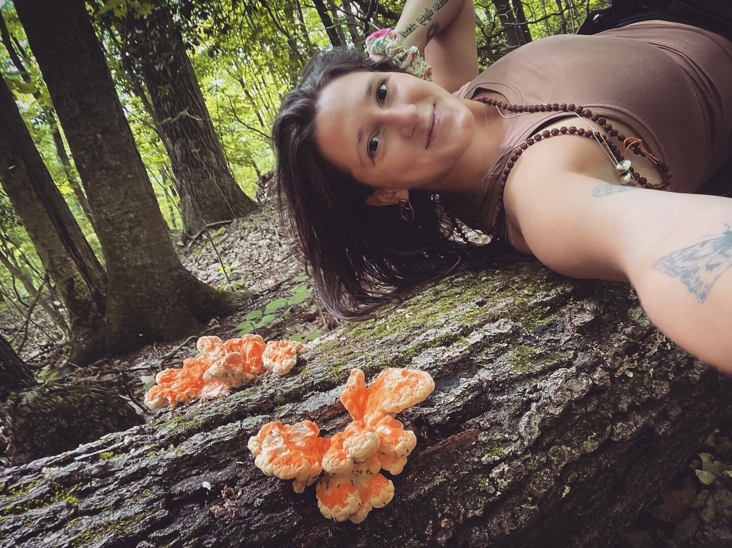 Causal chick of the woods 🤣
 
 #chickenofthewoods #Laetiporussulphureus #Laetiporus #yum #foragedfood #fungiidentification