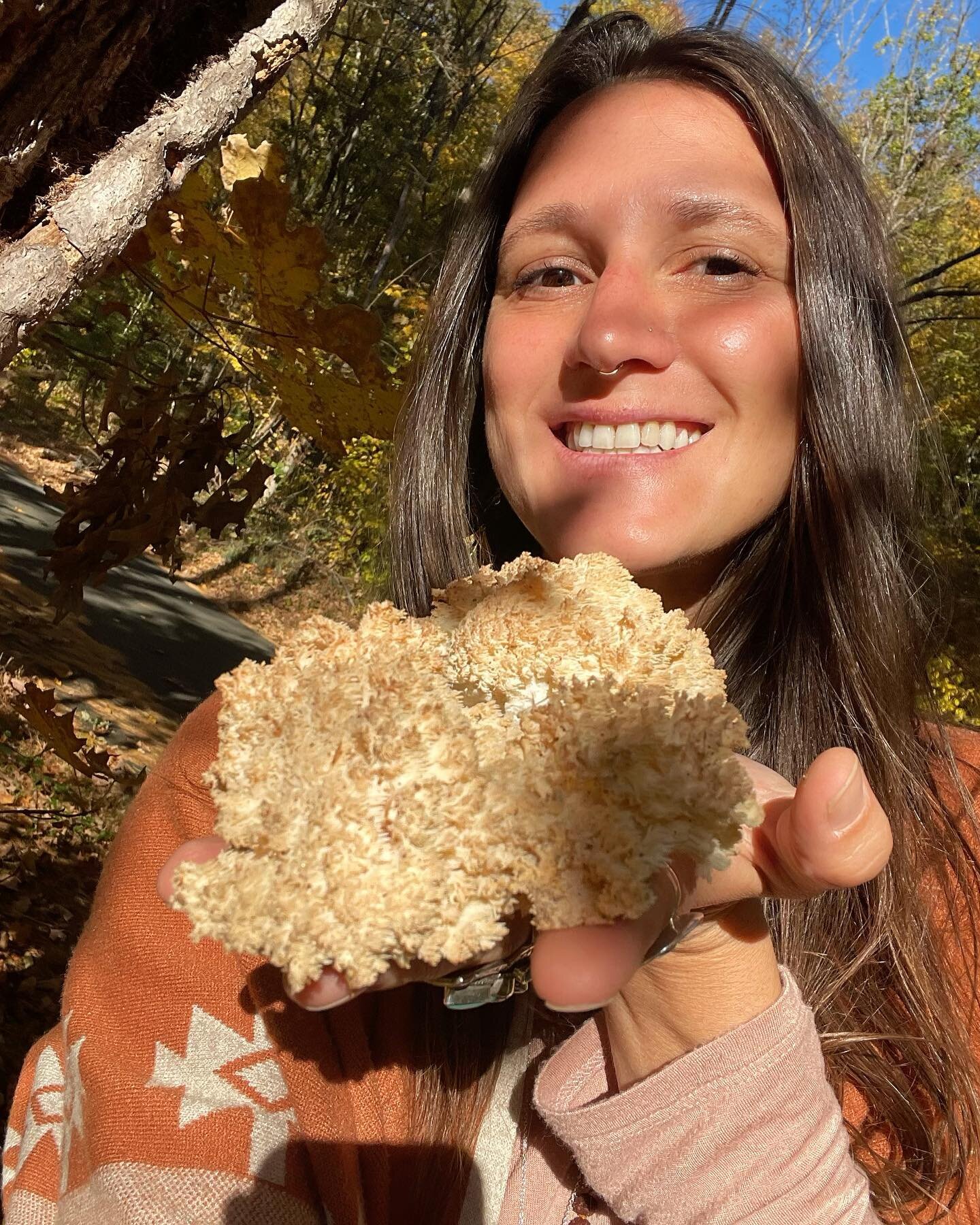 Hericium americanum and I will see ya at the foray table tmrw! @culturedcafect 🐻🦷🍄 

#connecticut #connecticutmushrooms #foragedfood #foraging #hericiumamericanum #hericium #newhaven #bearsheadtooth