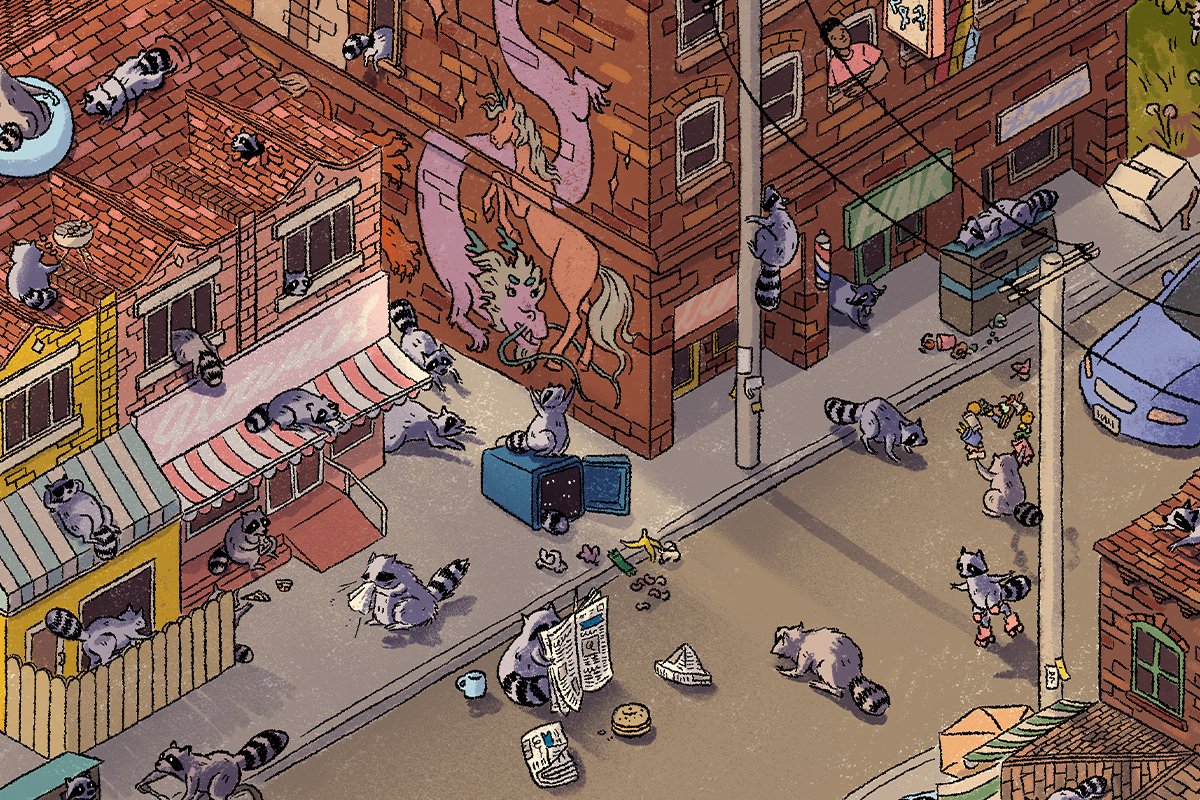 raccoons_homepage web splash copy.jpg