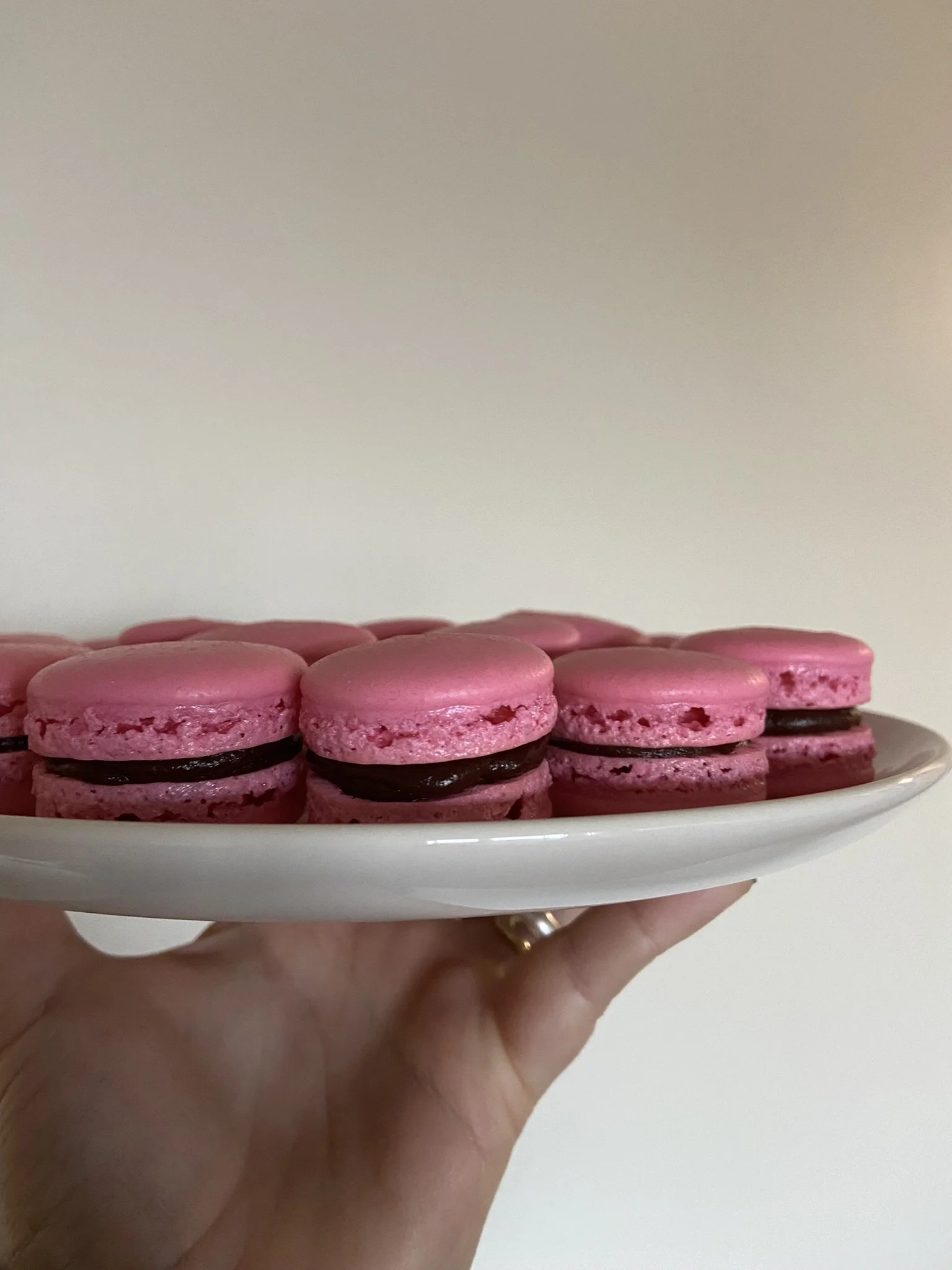 IMG_2129.jpeg