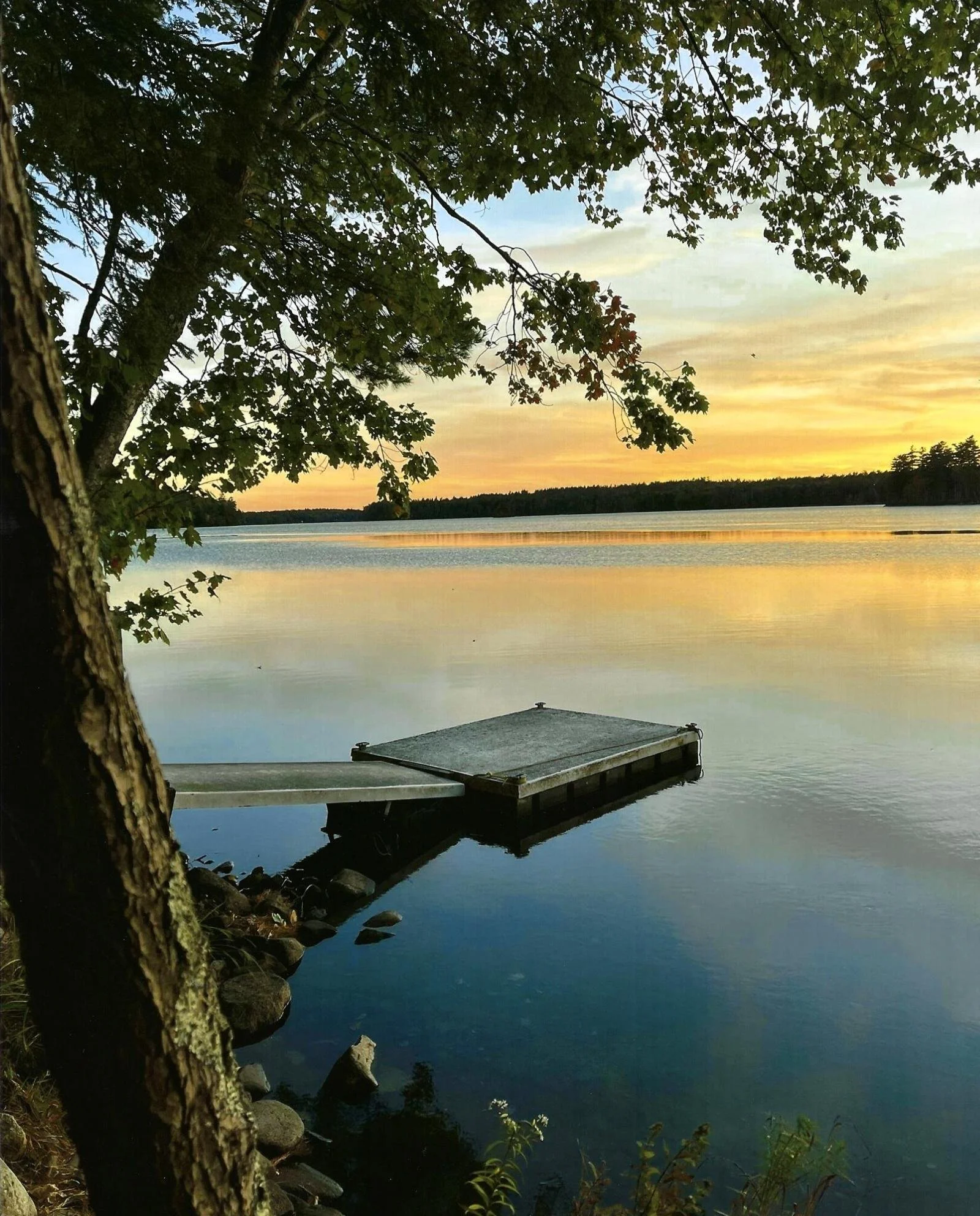 Water Patterns - Dale Griffin