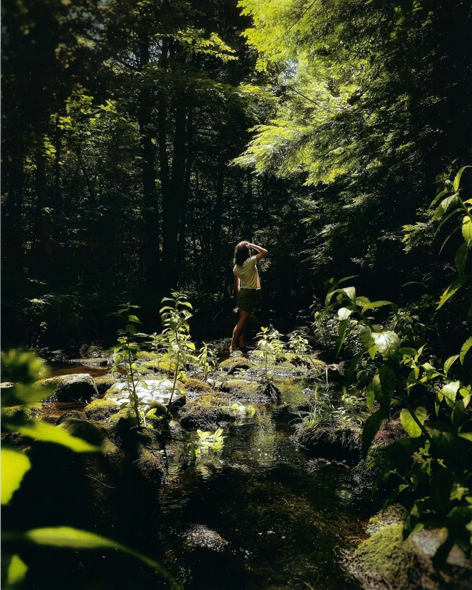 Okeanos - Finlay Donaghy