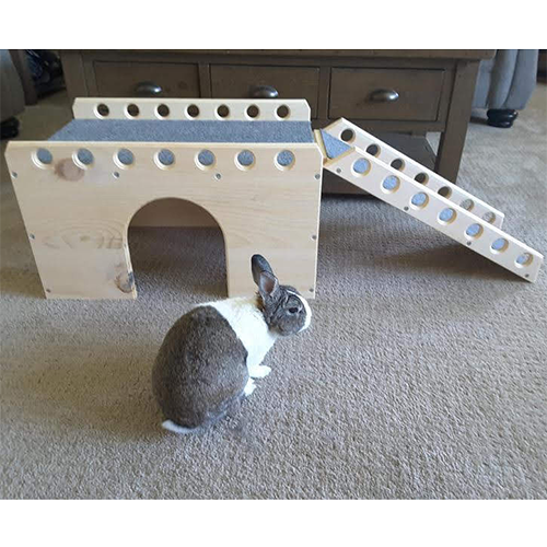 Bunny Fort Circle — BUNNY BEDS BEYOND