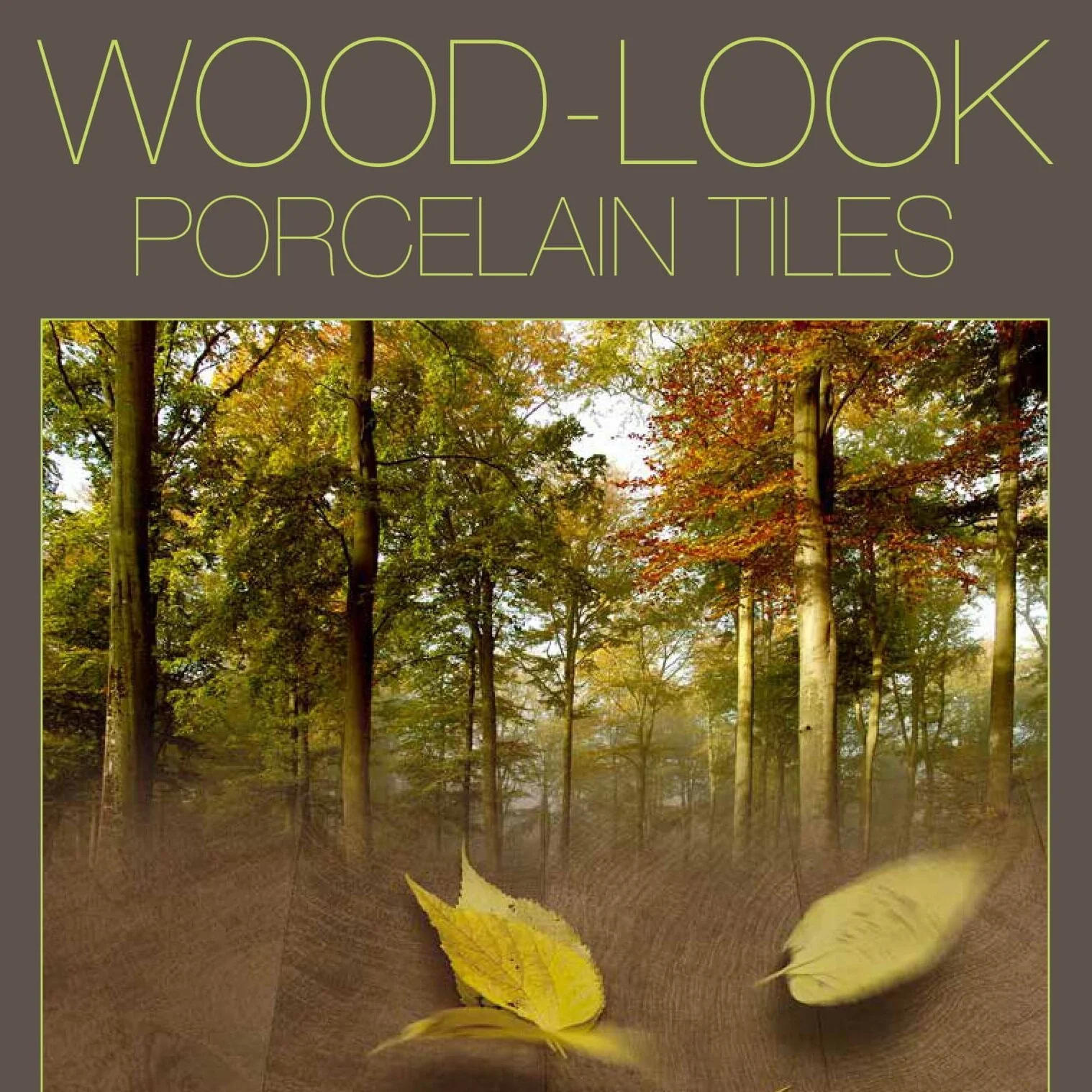 Wood_Looks_Catalog-01.jpg