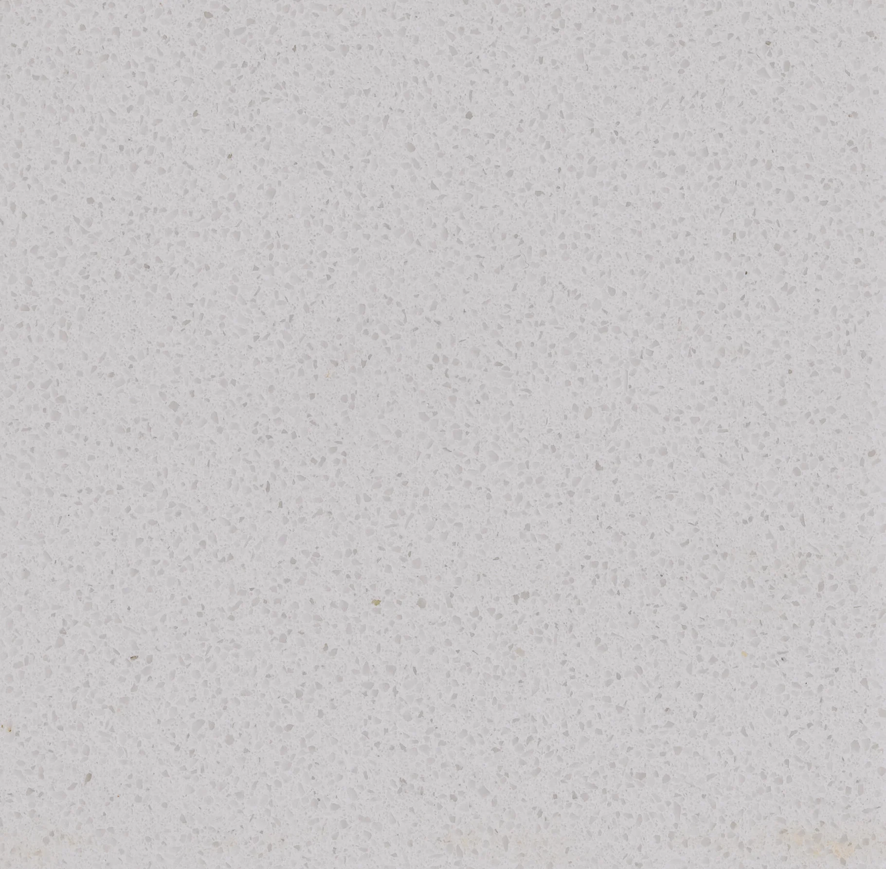 qPolar White-1.jpg