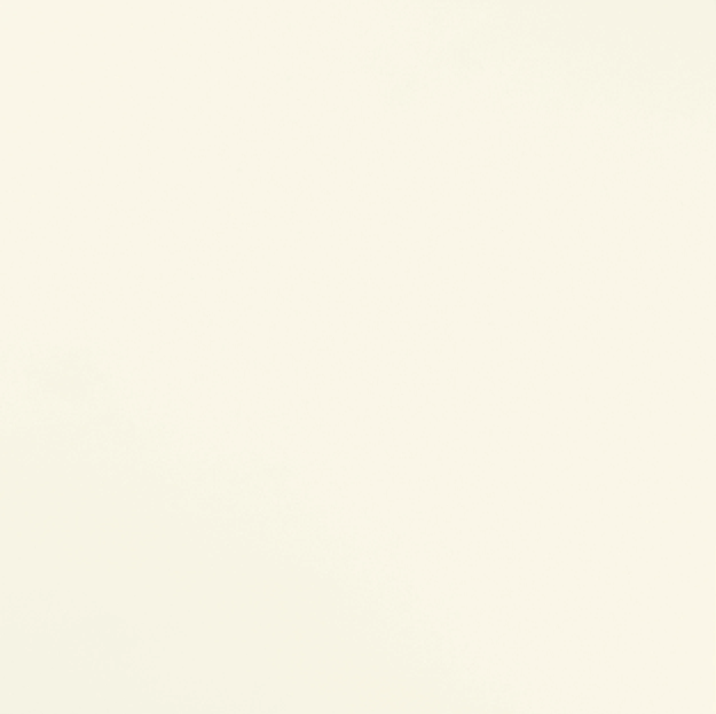 qPorcelain White-1.jpg