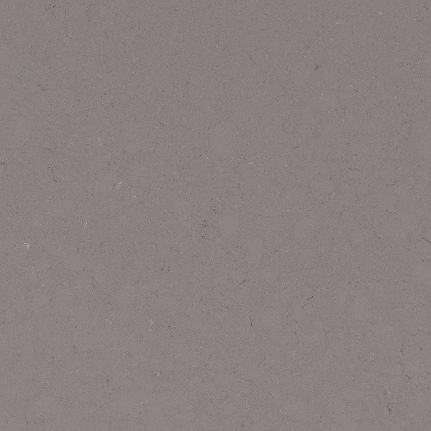 qTerra Grey-1.jpg