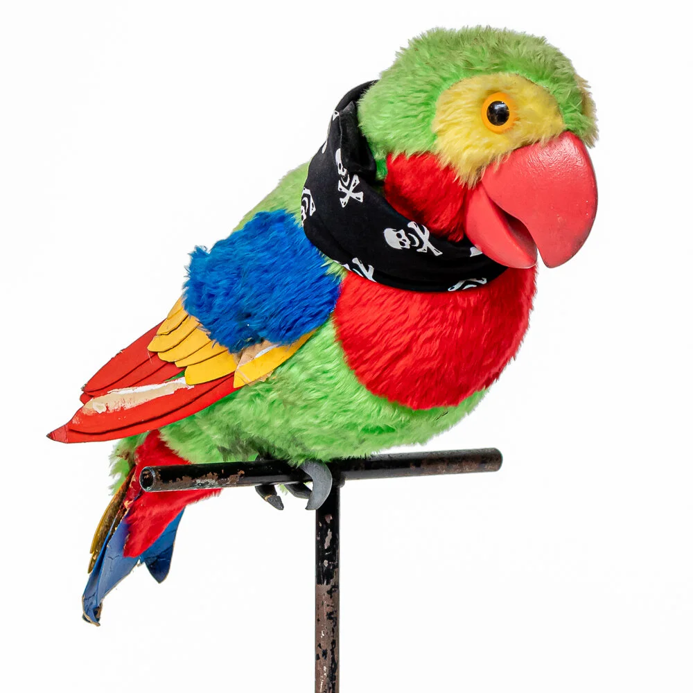 Parrot