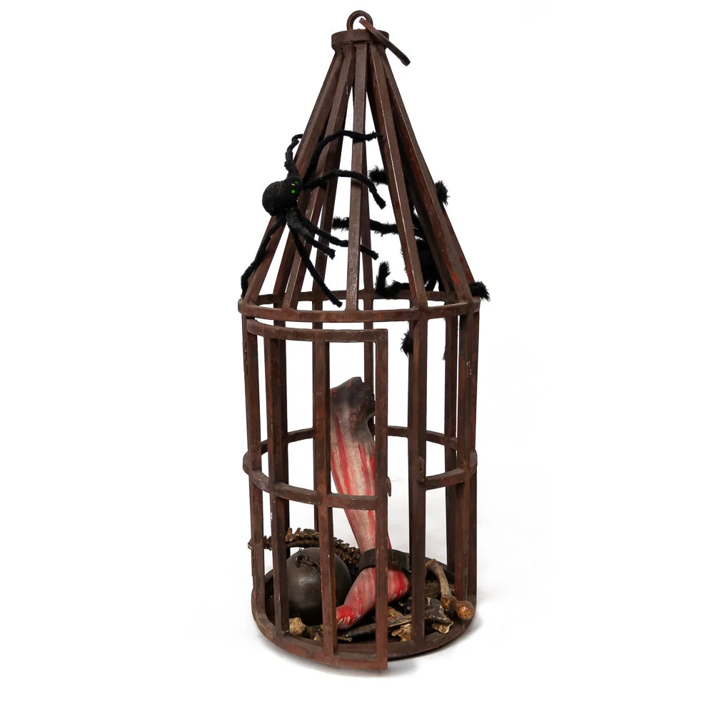 Cage with body parts &amp; spiders