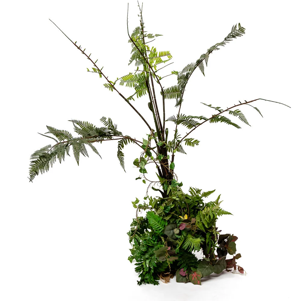Potted Fern Plant - 1 