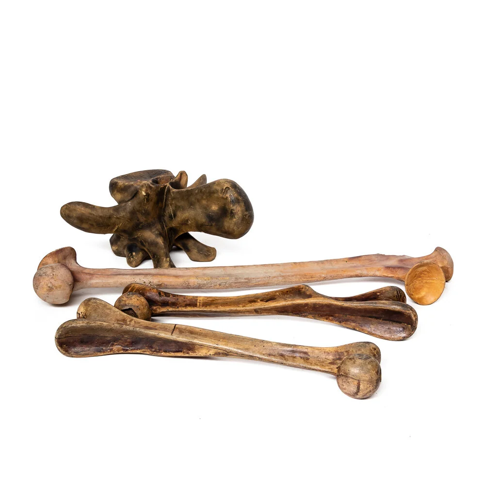 Assorted Dinosaur Bones - set of 4