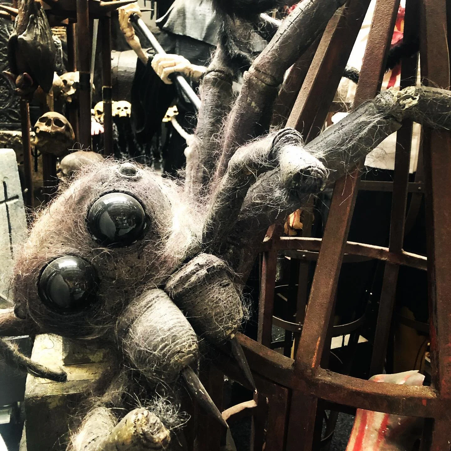This is Henry. He&rsquo;s been a little cold lately out at the ThemeWorks warehouse and would love to come to your Halloween party this year. What do you say?! 🕷🕸 #halloweendecor #eventsnz #halloweenpartyideas #partyprops #giantspider #spiderprop #