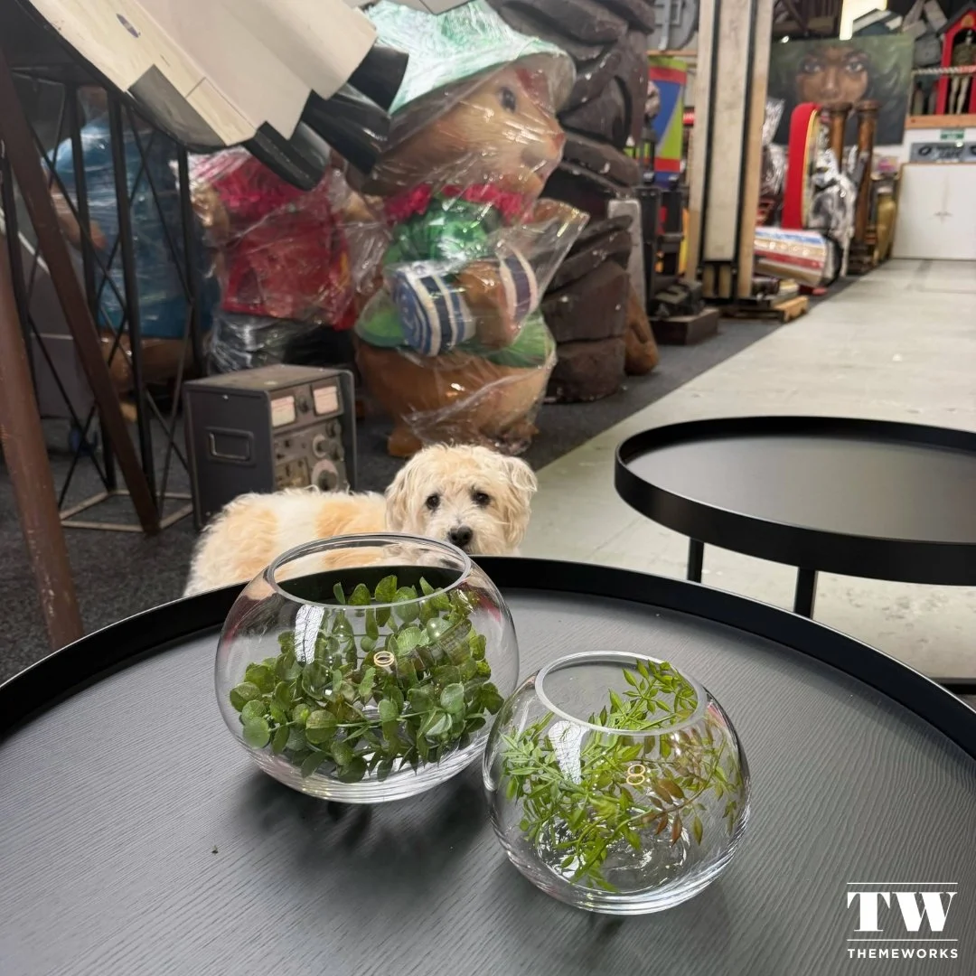 Our furry companions always by our side! 🐾💼 #OfficePawtners #officedogs