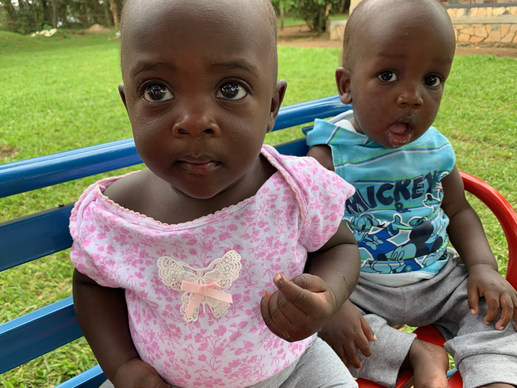 The Take Off  (Copy)