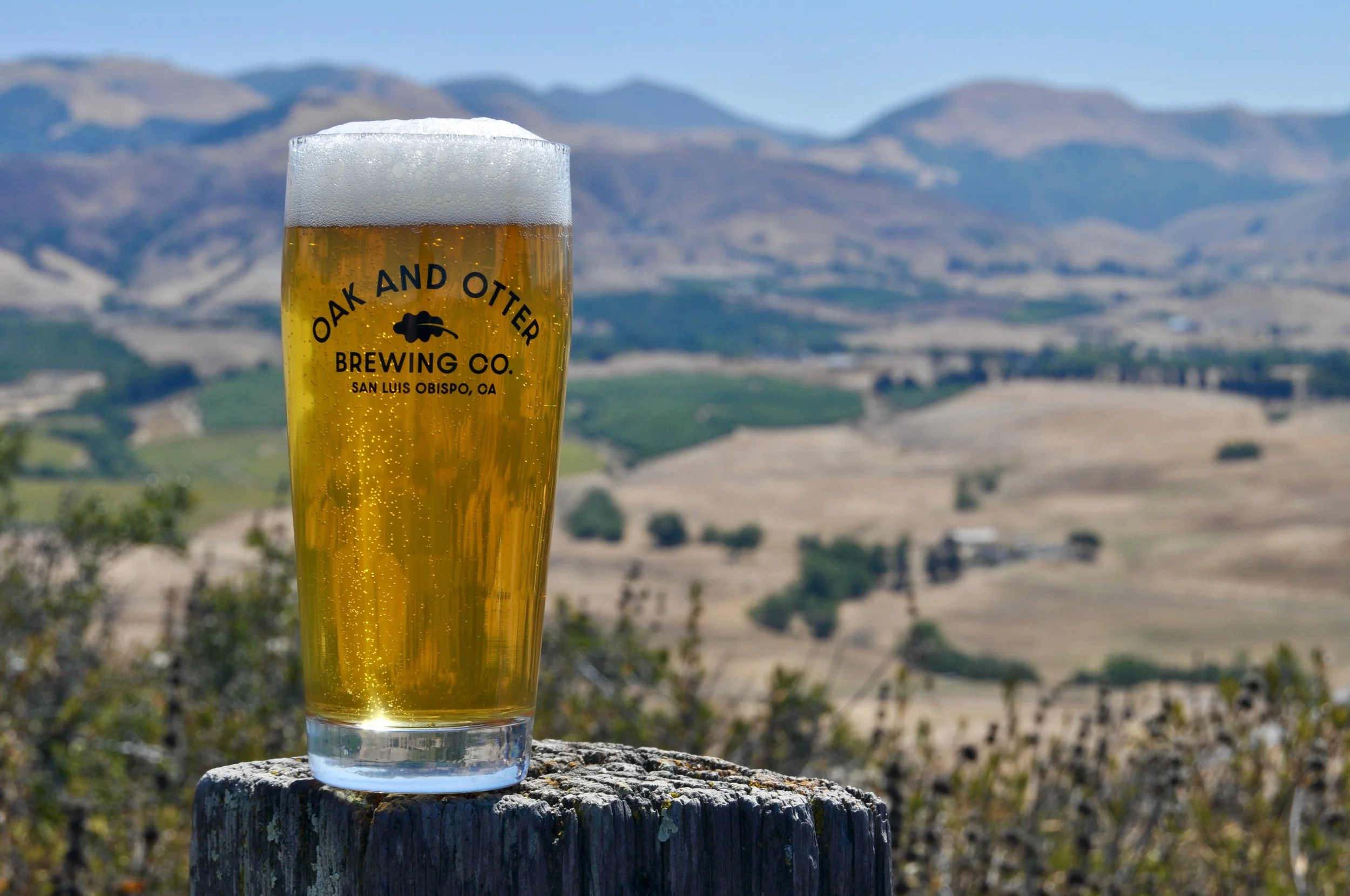 islay peak IPA
