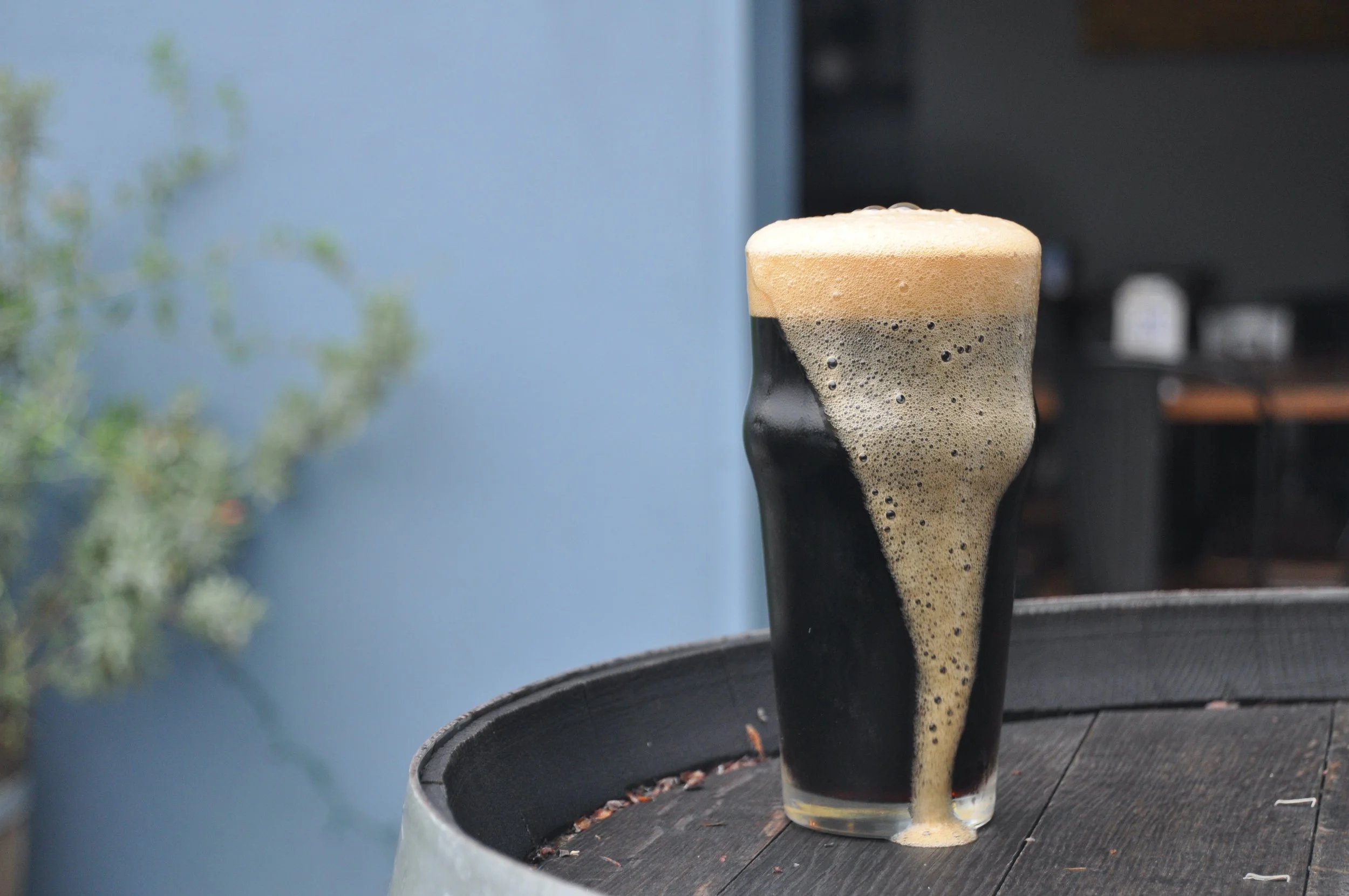 black hill stout
