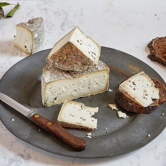 Presenting: Roccolino al Tartufo. Original Roccolino recipe, with the addition of Summer Black Truffle flakes. Explore our website for this and more Unique Cheeses [LINK IN BIO]
@casarrigoni
.
.
.
#shoponline #cheese #millennials #coupon #deals #free