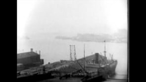 1919/1969