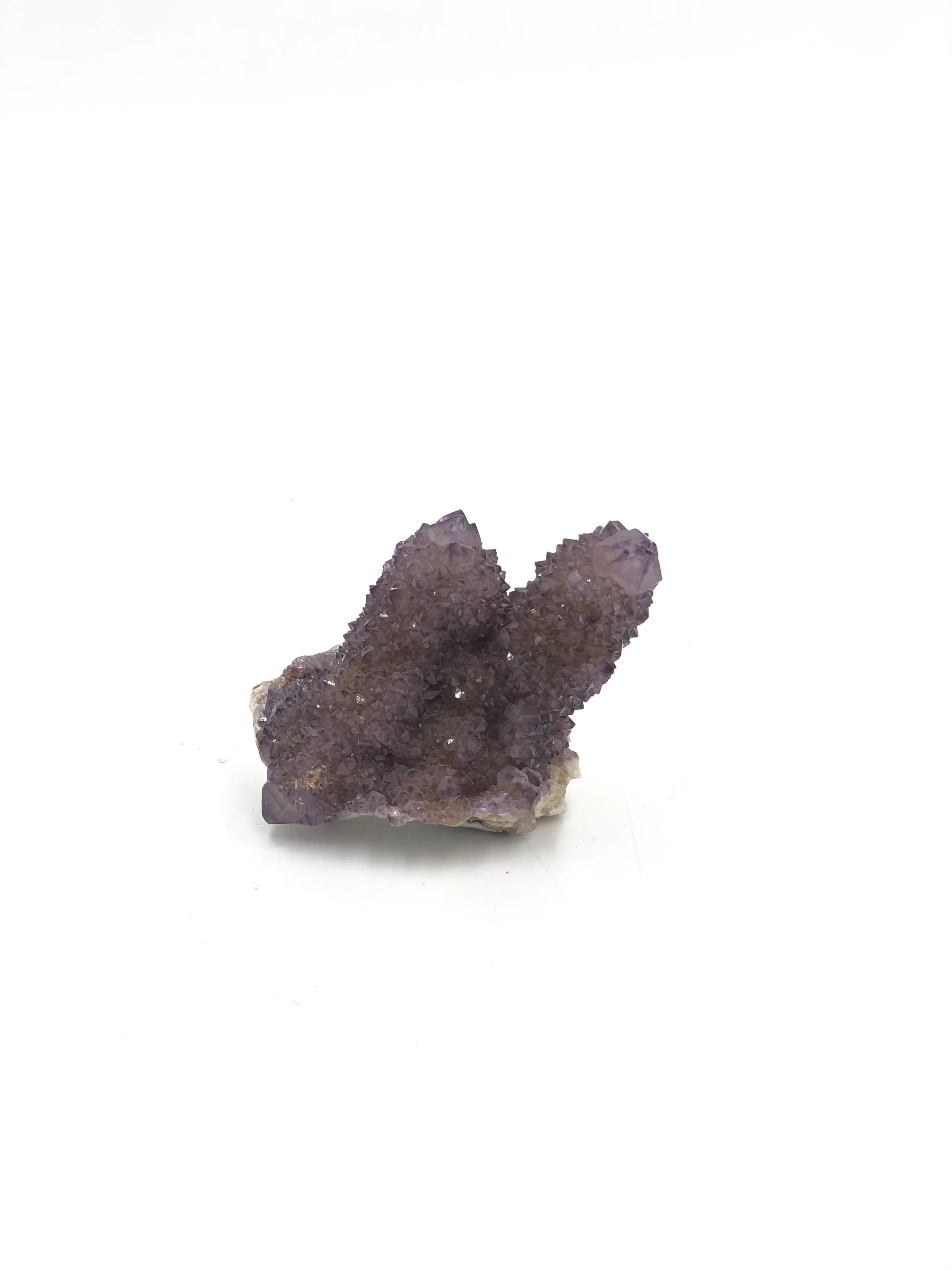 Cactus Amethyst Twin Cluster