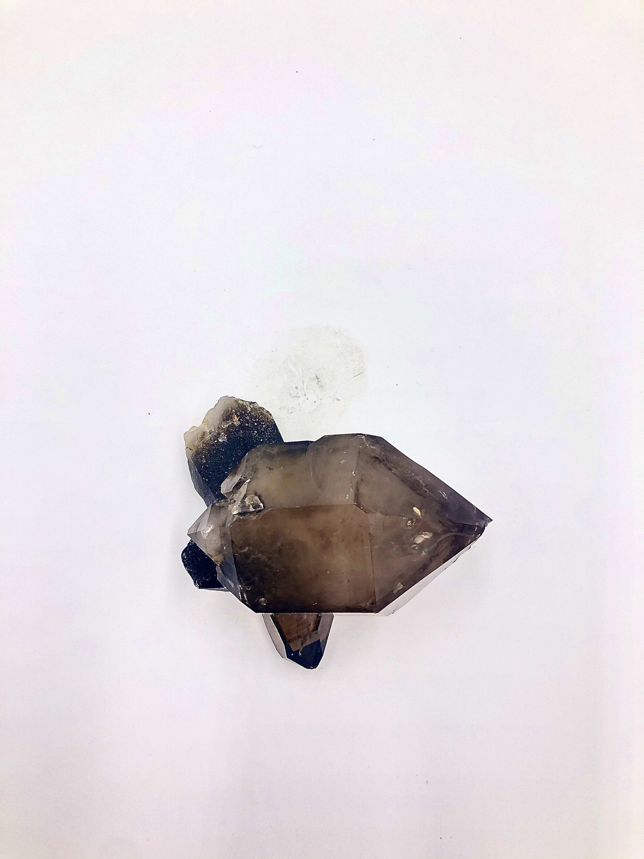 Smokey Quartz Scepter Point