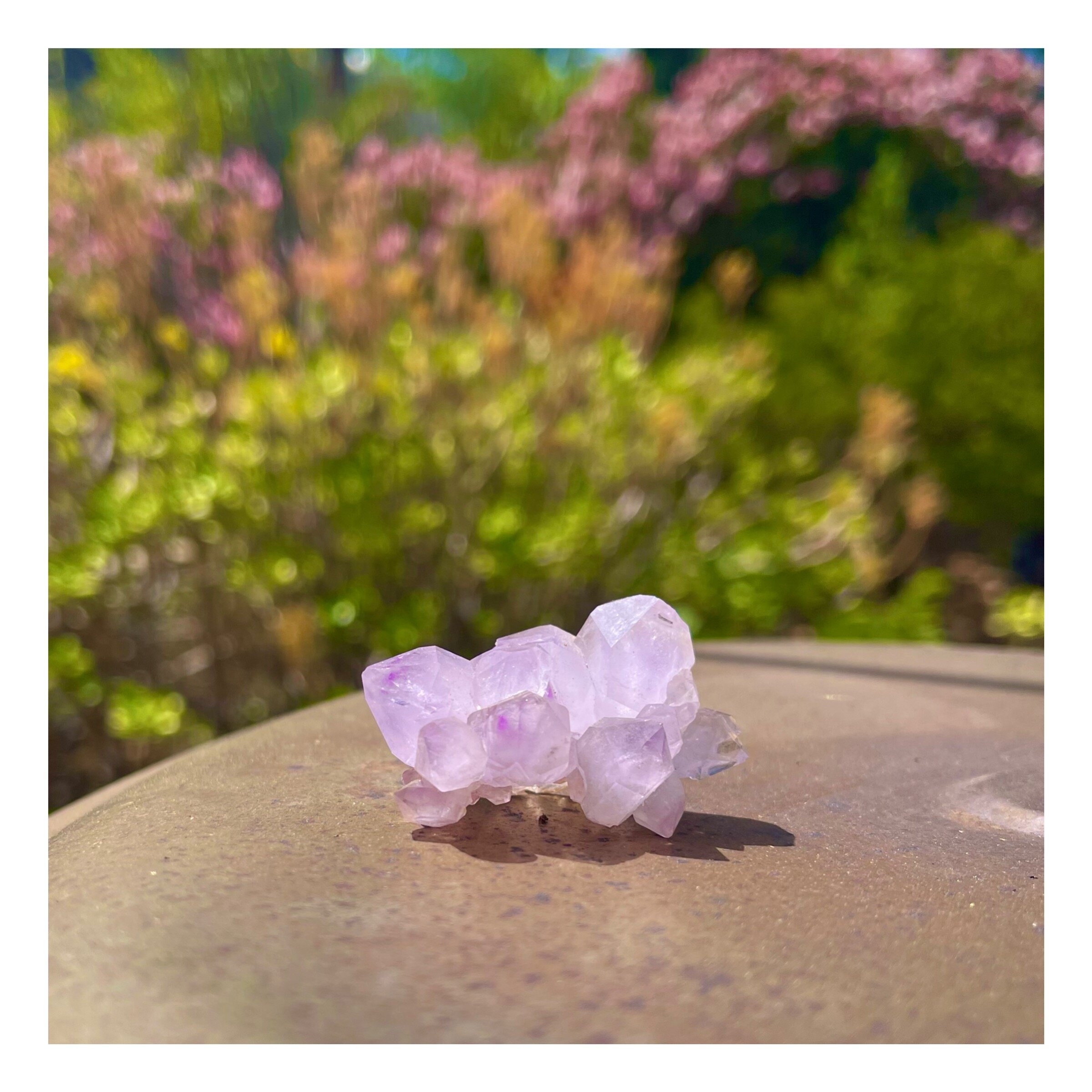 Palm Stone Amethyst