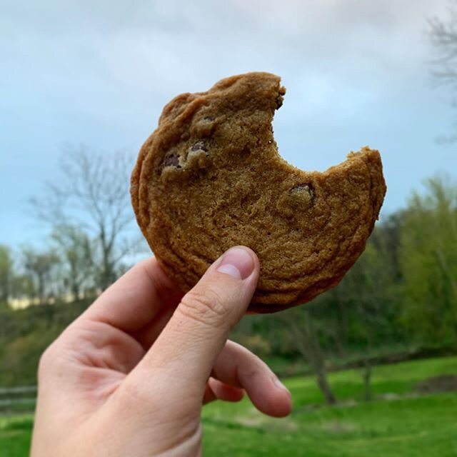 The ultimate chocolate chip cookies! They are a home run anytime. You need a quick dessert!! In and out in 45 minutes you will be the talk of the town!! You can find this recipe and more on my website: chefbonn.com .
.
.
#dessert #cookingtechniques #