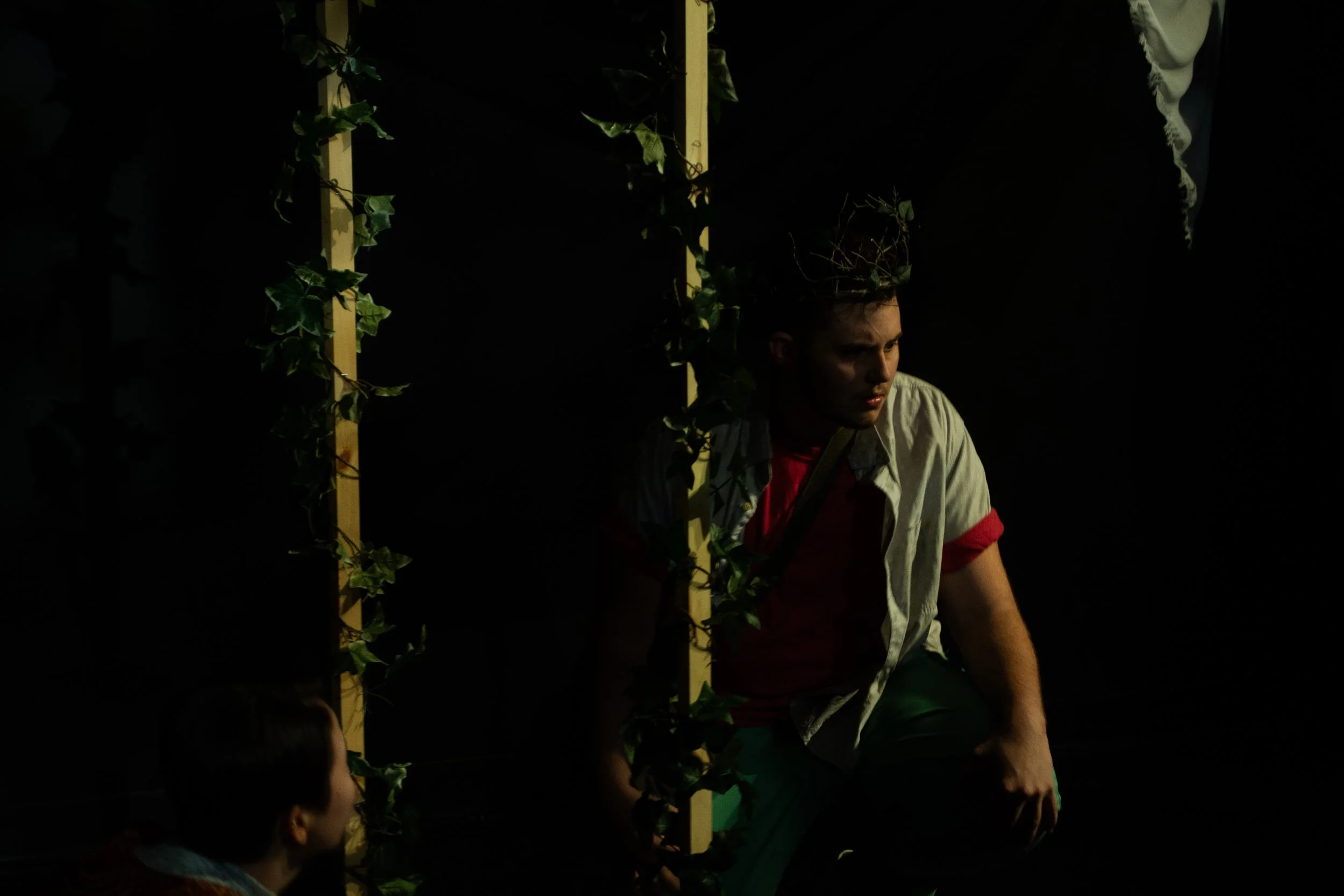    The Elm Tree  , A New Immersive Work written and directed by Dori A. Robinson Alight Theater Guild Boston Center for The Arts 