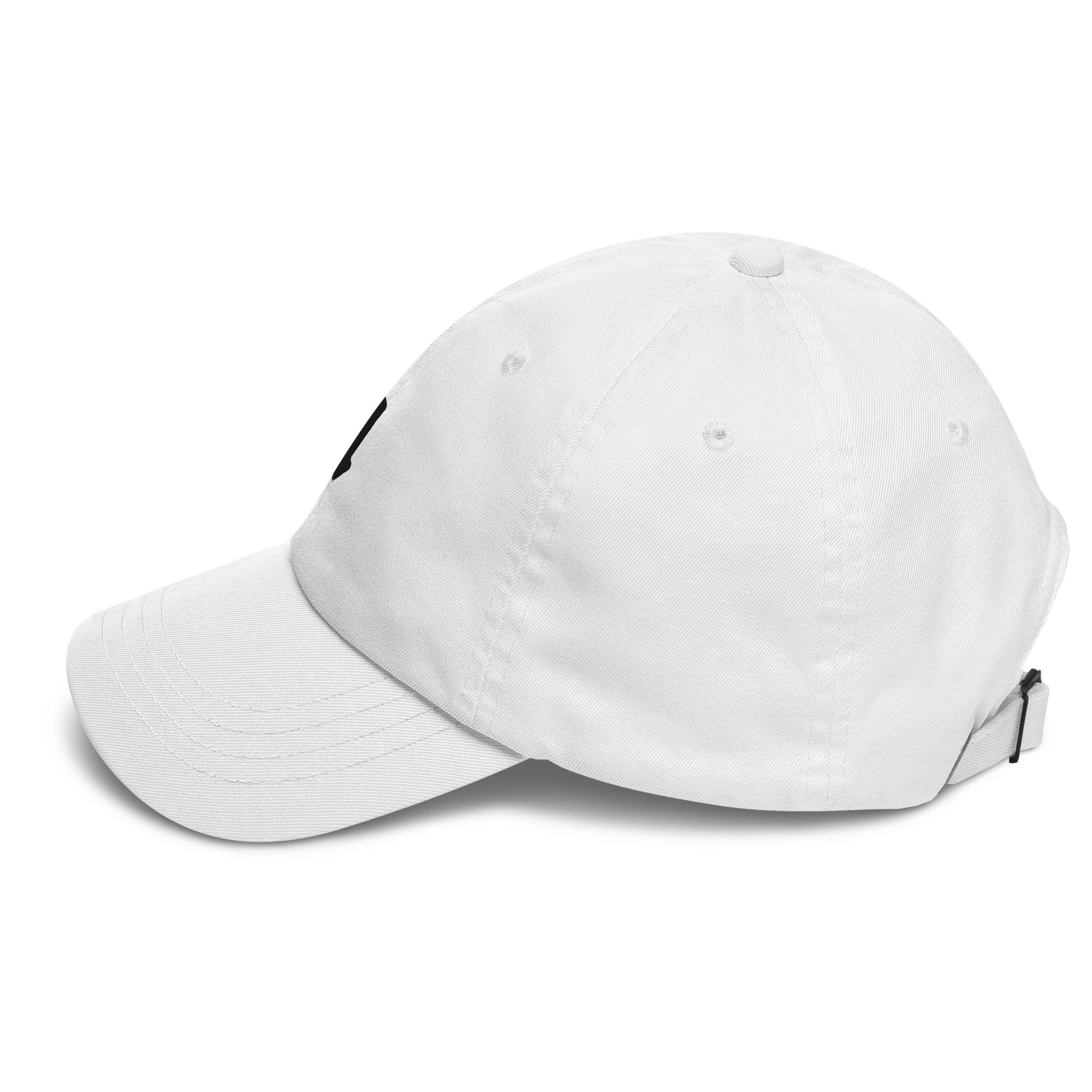 classic-dad-hat-white-left-67156b077defd.jpg