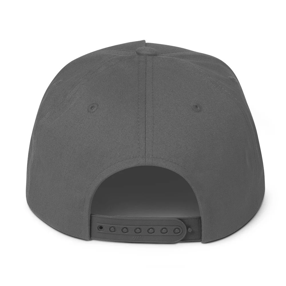 flat-bill-cap-grey-back-6a5590e29cdb1.jpg