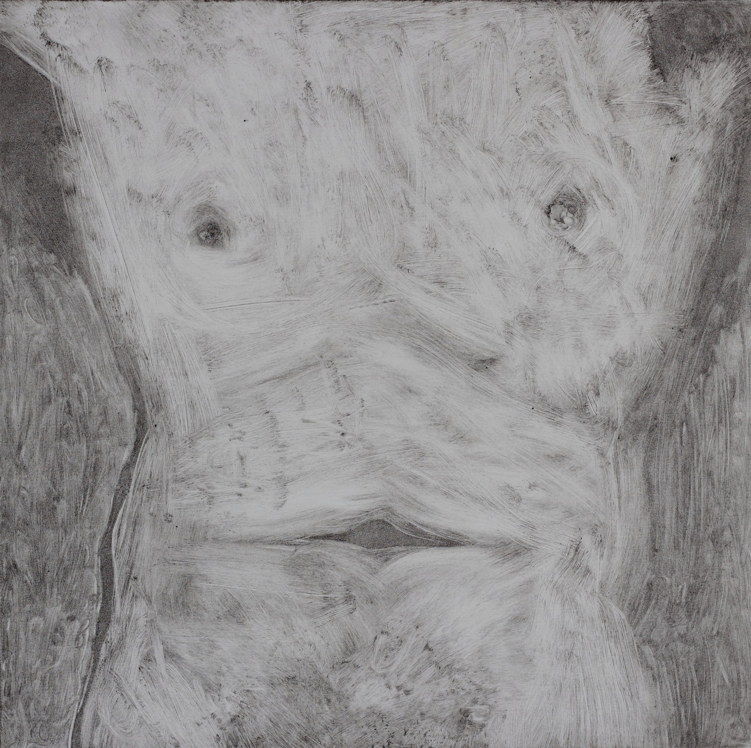 Torso, Pale