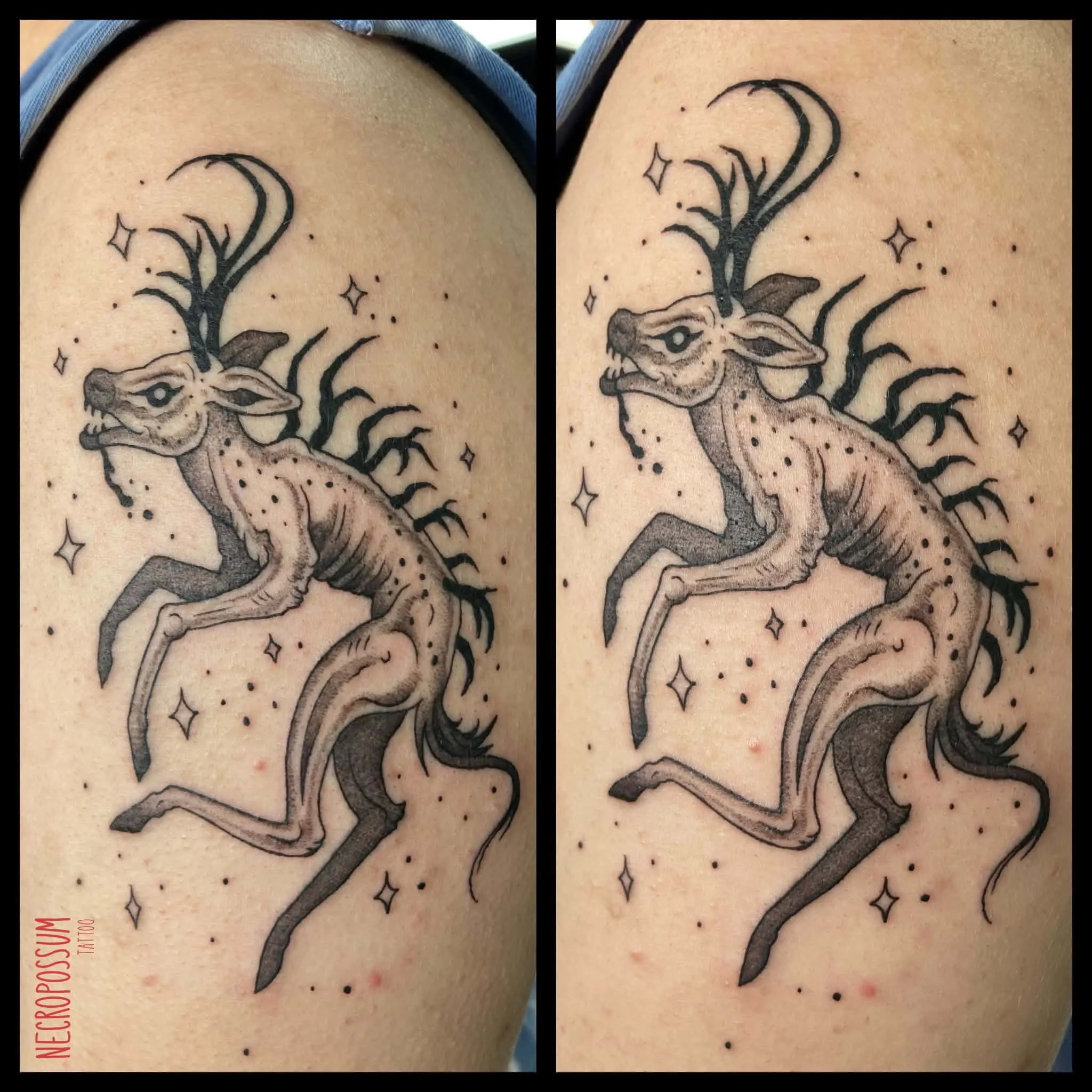 IMG_1139.JPG