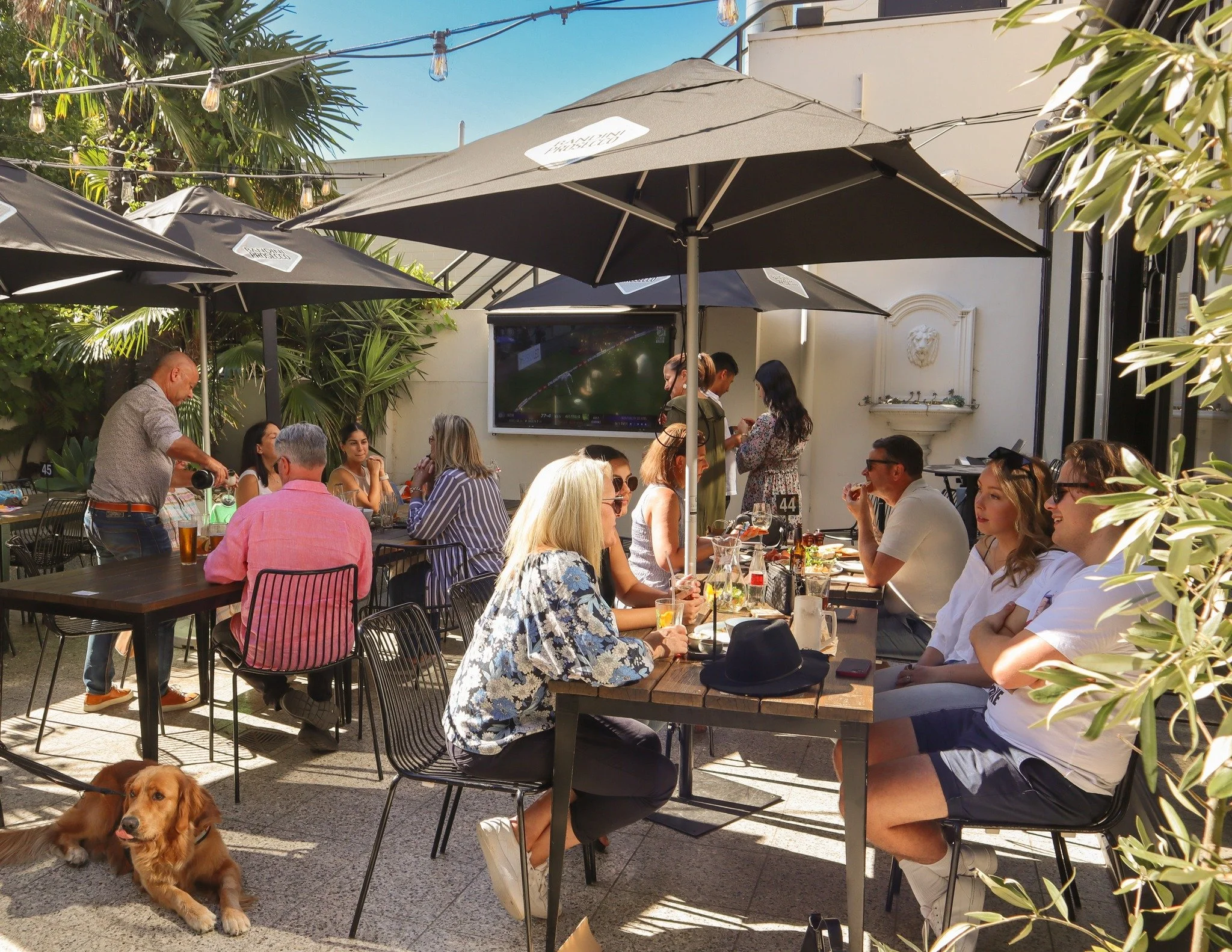 With summer days on the way, our dog-friendly courtyard is ready for crisp cocktails, cold beers, and even better company.

#thecamden #DrinksWithFriends #PubNights #Cheers #GoodVibesOnly #OnTapTonight #CocktailTime #BarVibes #PubGoals #LocalHangout 