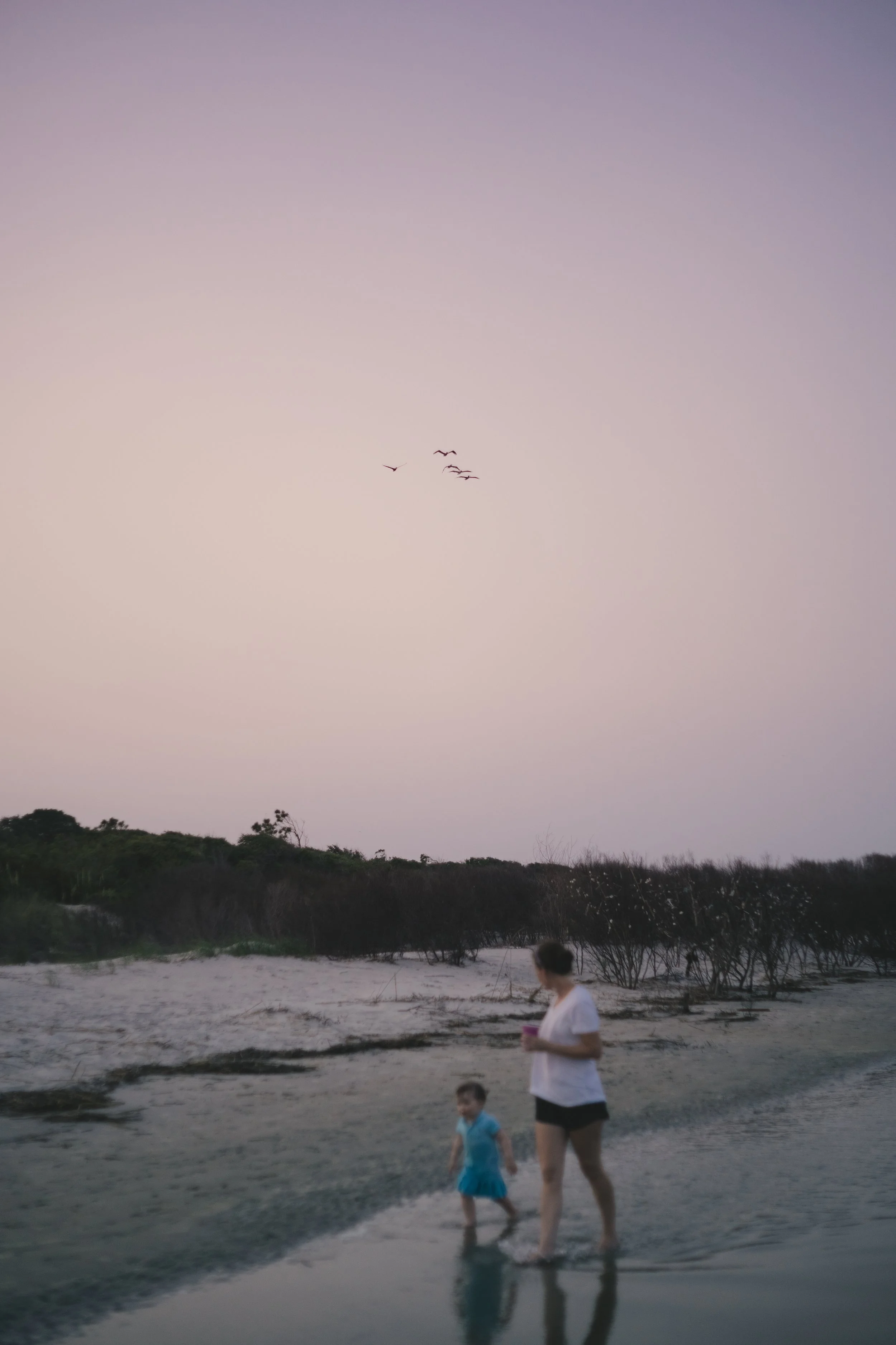 ALP_St  Simon's Island_7-1-23-50.jpg