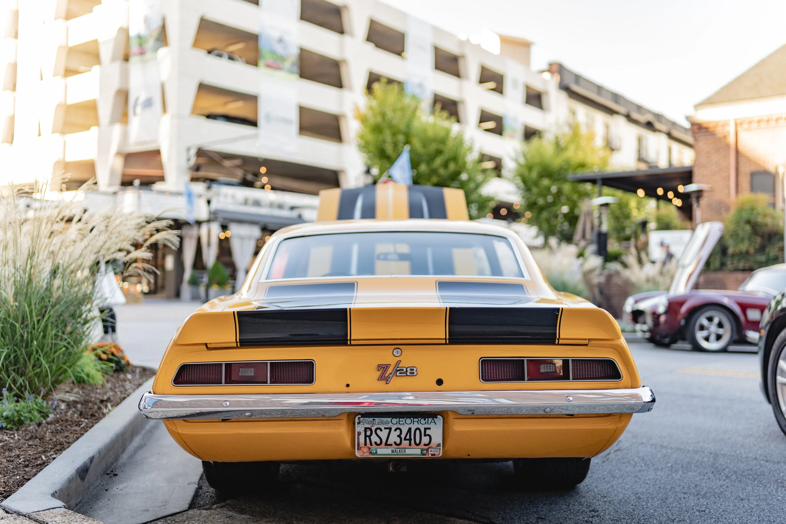 ALP_CMF Friday - Export 1_10-14-22-15.jpg