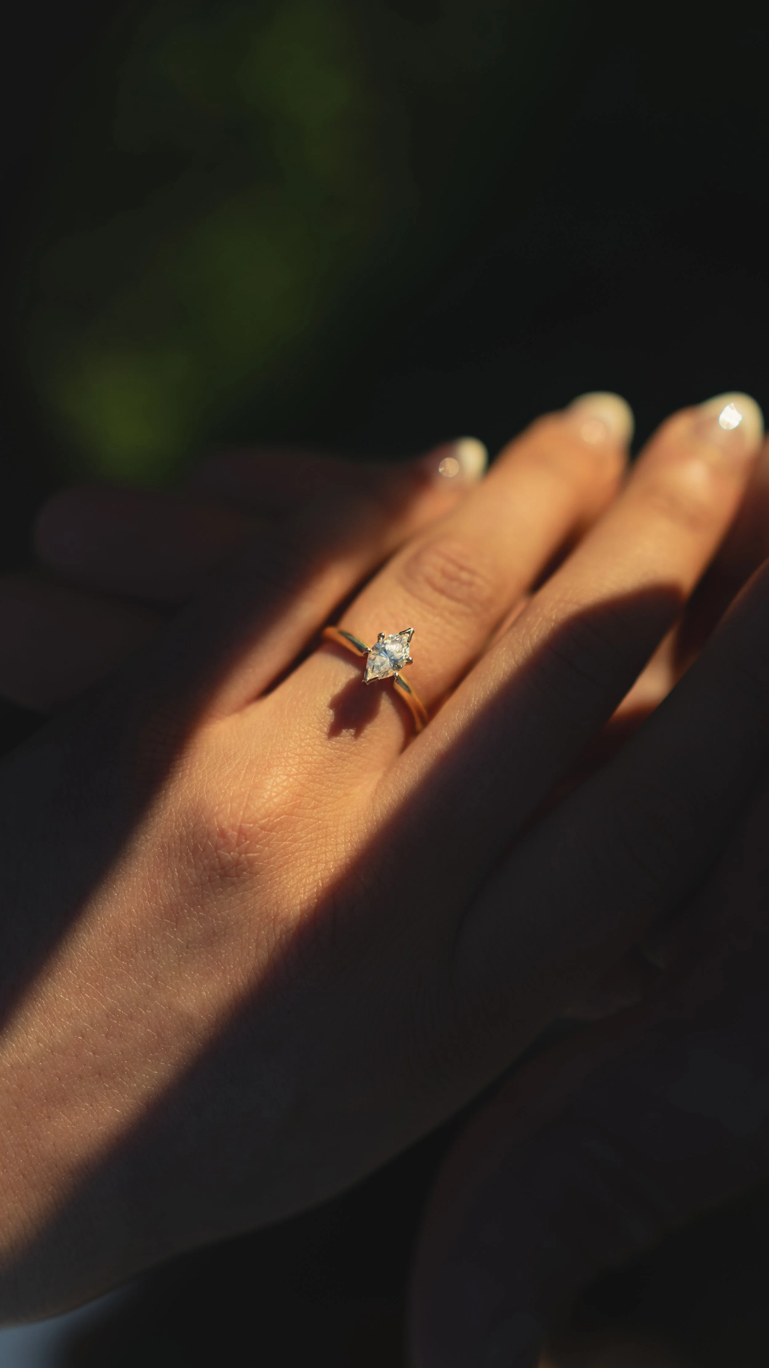 ALP_Sidney and Mari's Engagement Session_3-22-25-27.jpg