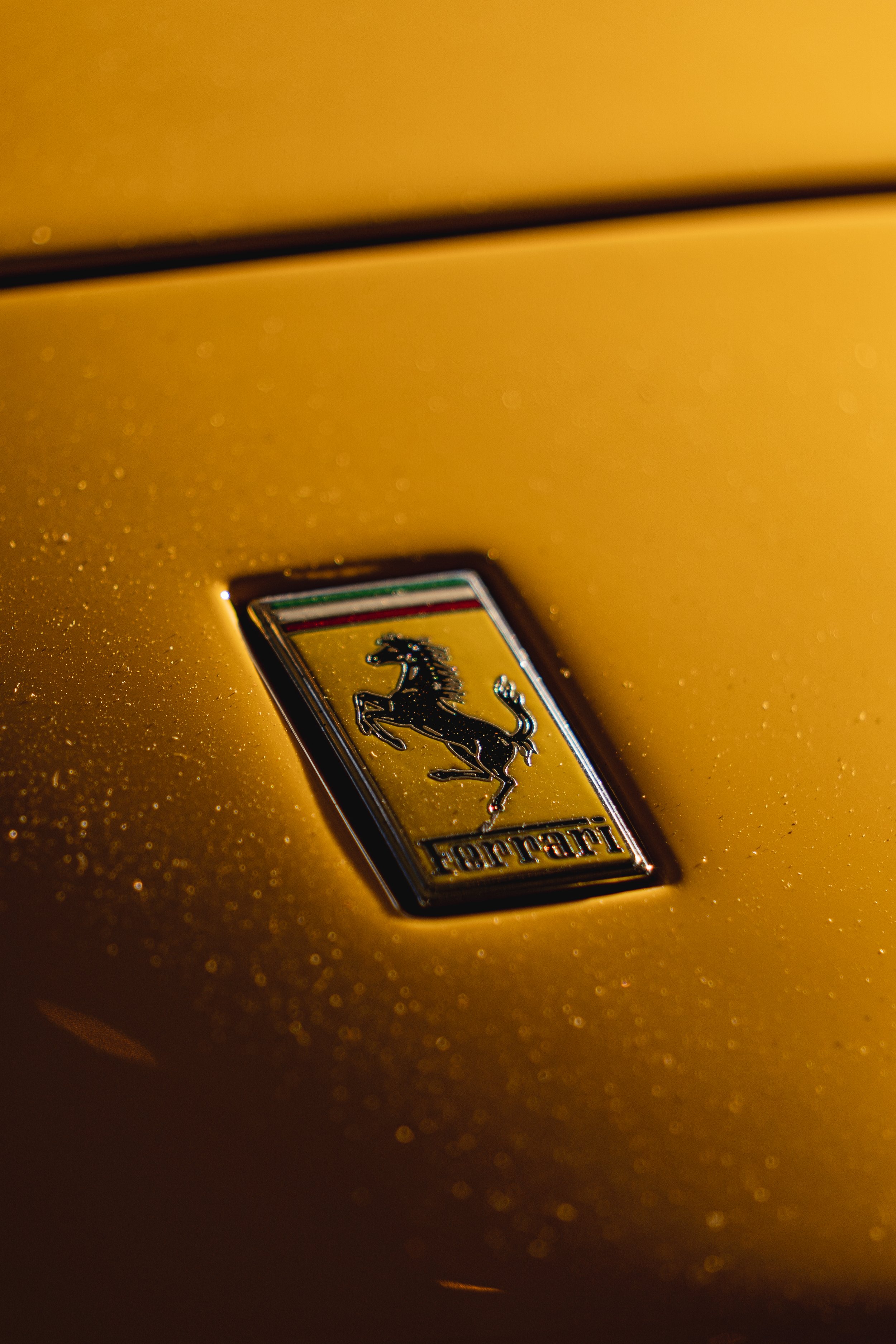 ALP_Export 6 - Festival and Ferraris_10-14-22-12.jpg