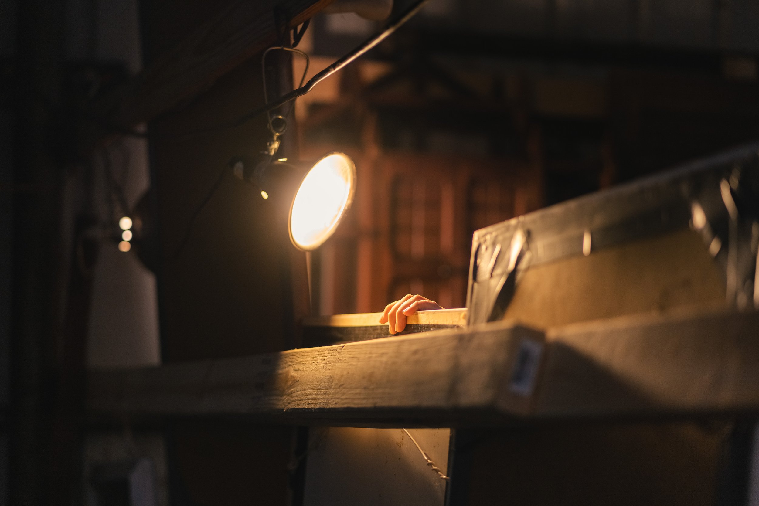 ALP_Date with Erin!_3-8-23-20.jpg