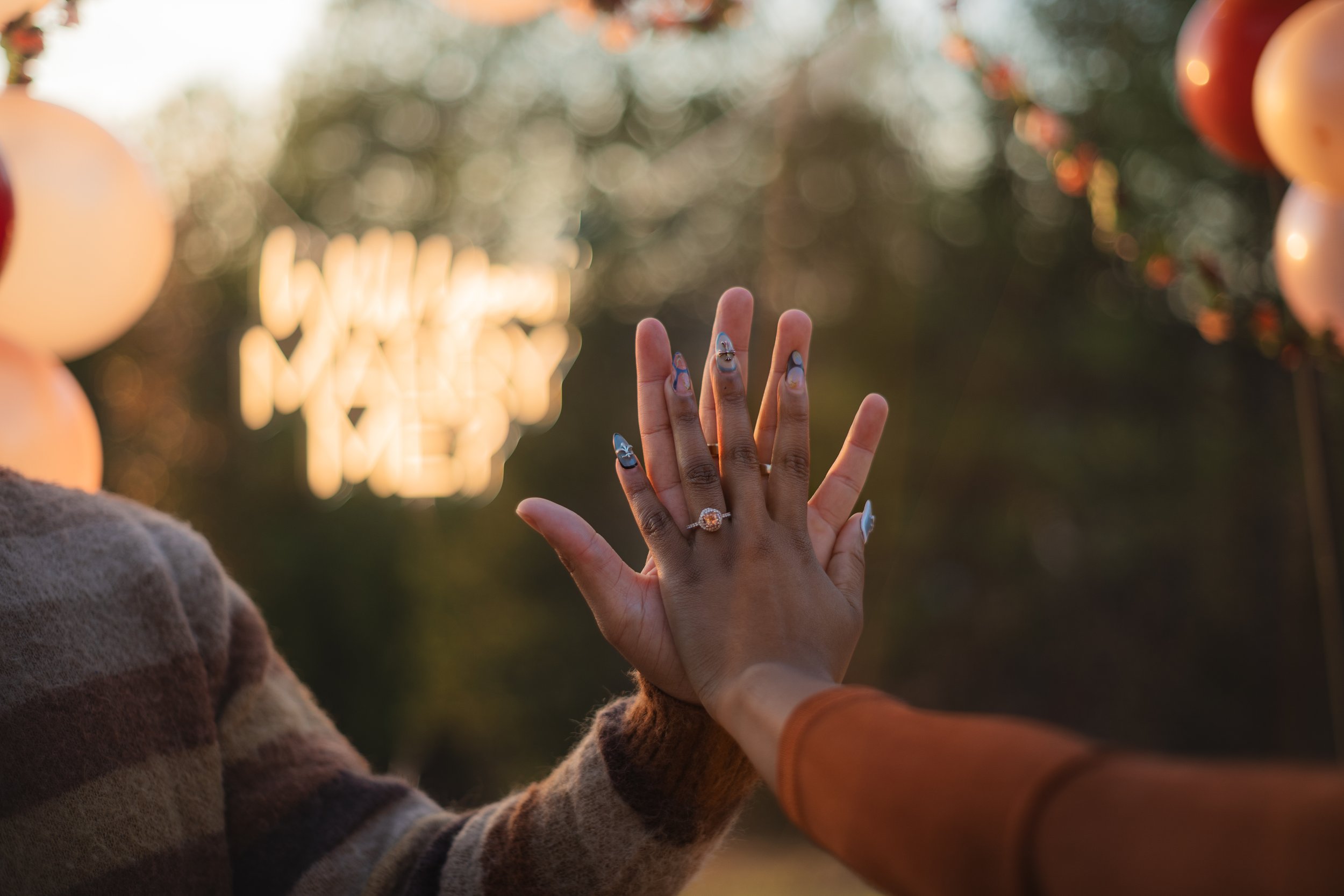 ALP_Amiel's Proposal 11-23-24-52.jpg