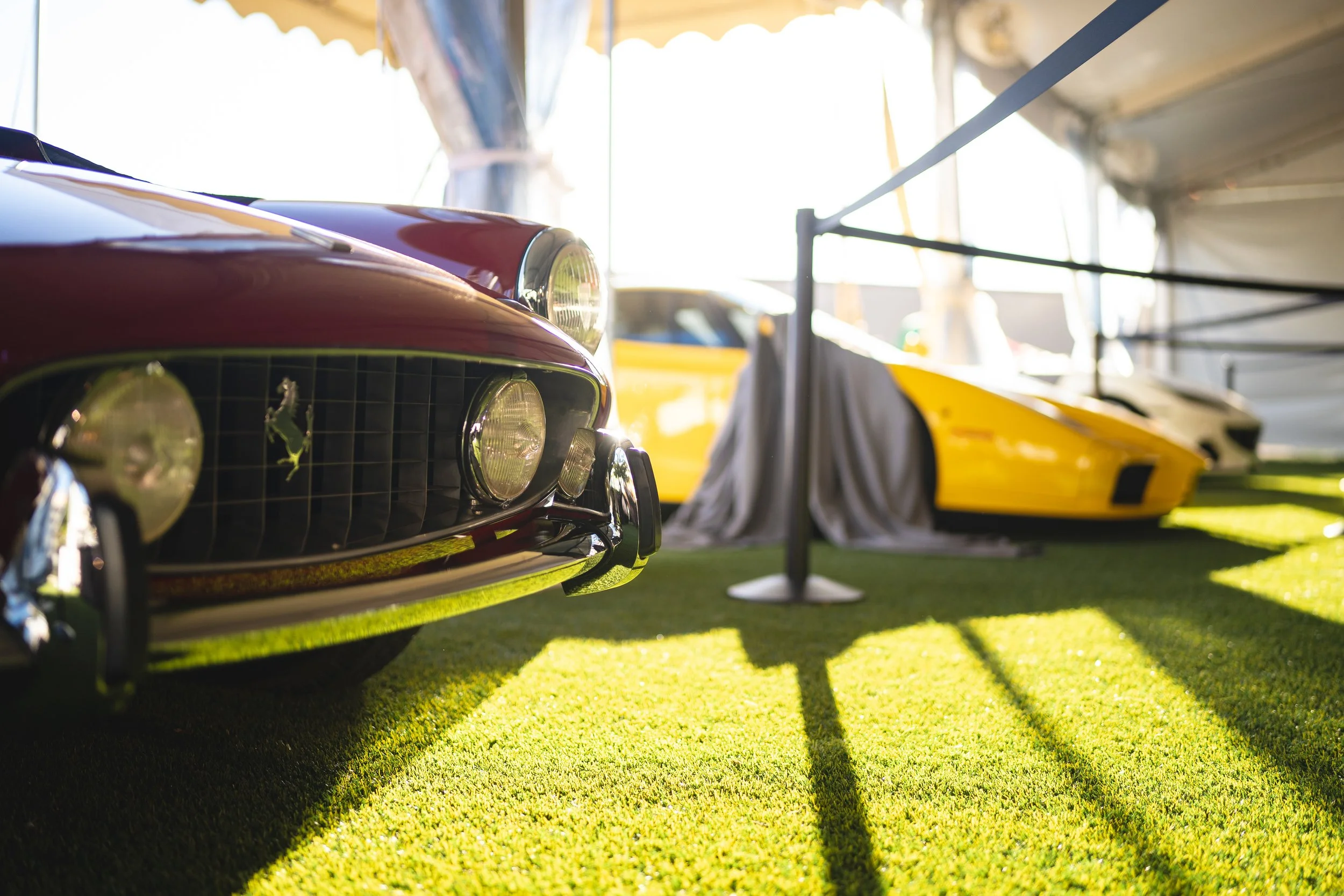 ALP_Export 6 - Festival and Ferraris_10-14-22-26.jpg