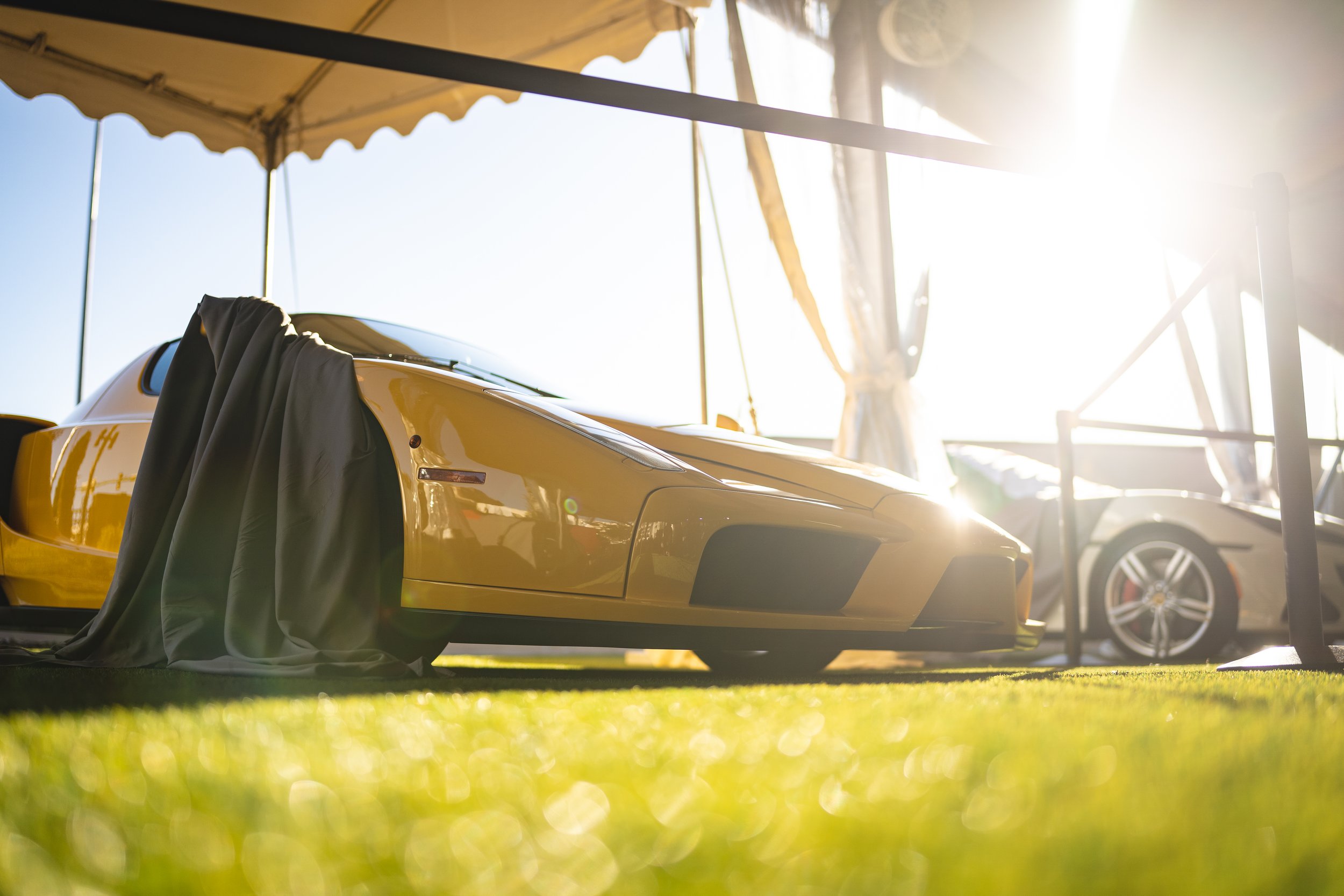 ALP_Export 6 - Festival and Ferraris_10-14-22-23.jpg